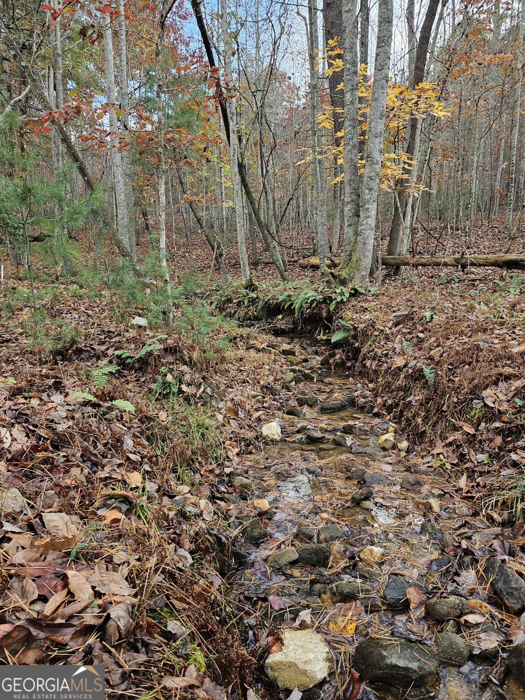 0 The Hills Lane Blairsville GA 30512