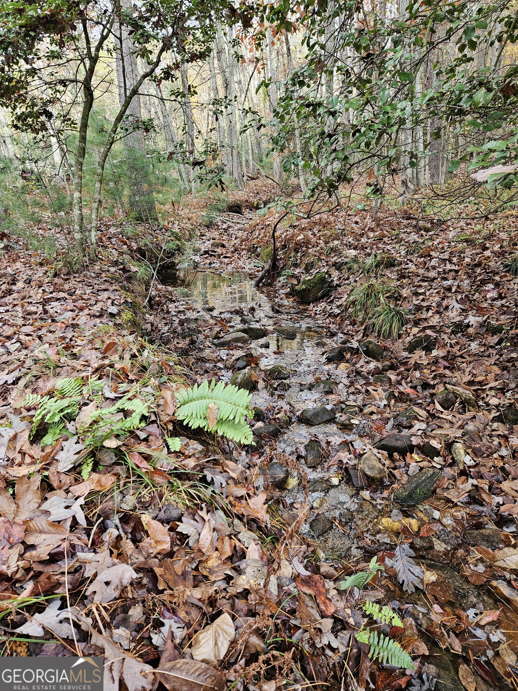 0 The Hills Lane Blairsville GA 30512