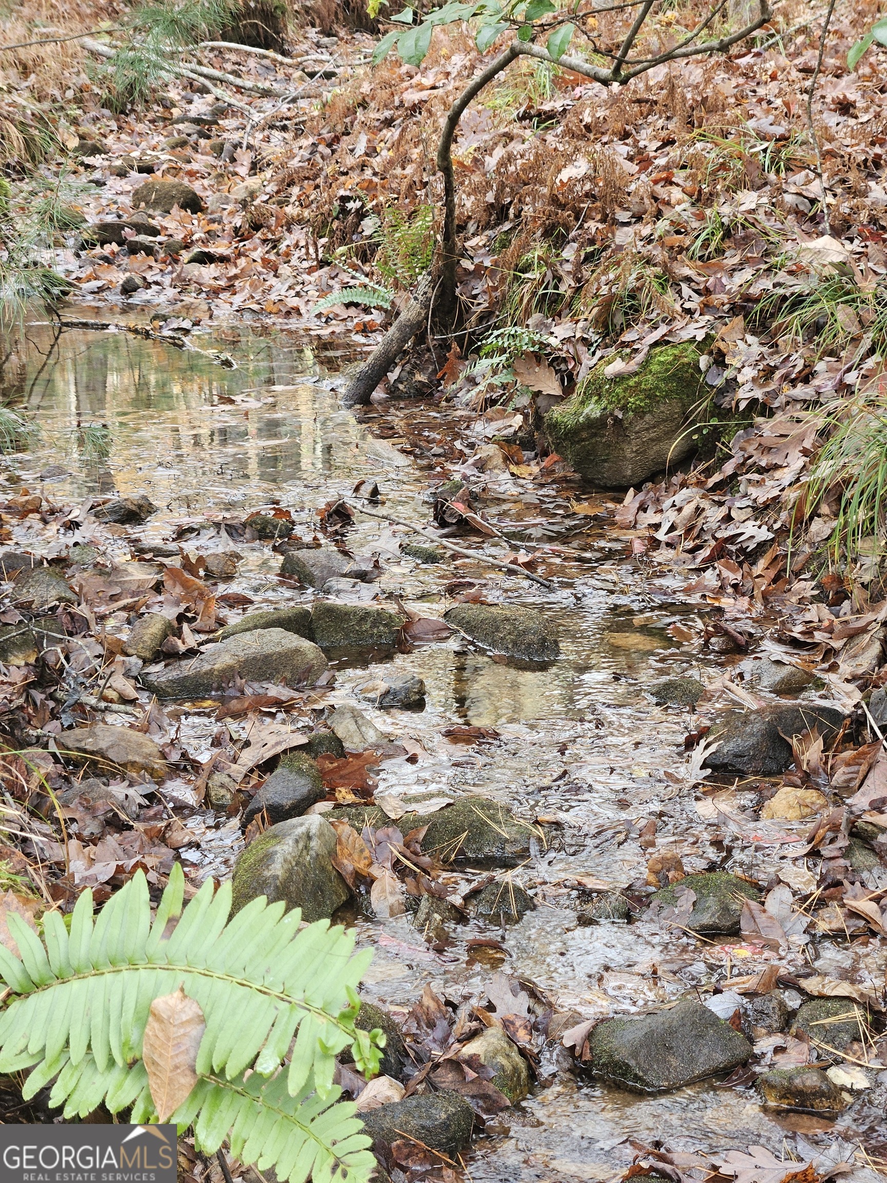 0 The Hills Lane Blairsville GA 30512