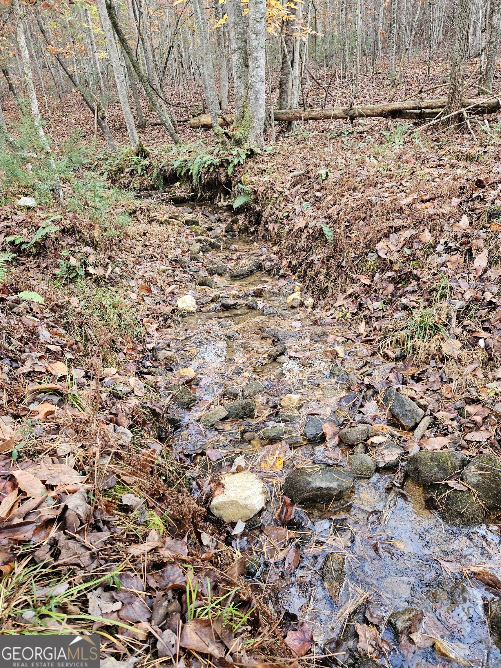 0 The Hills Lane Blairsville GA 30512