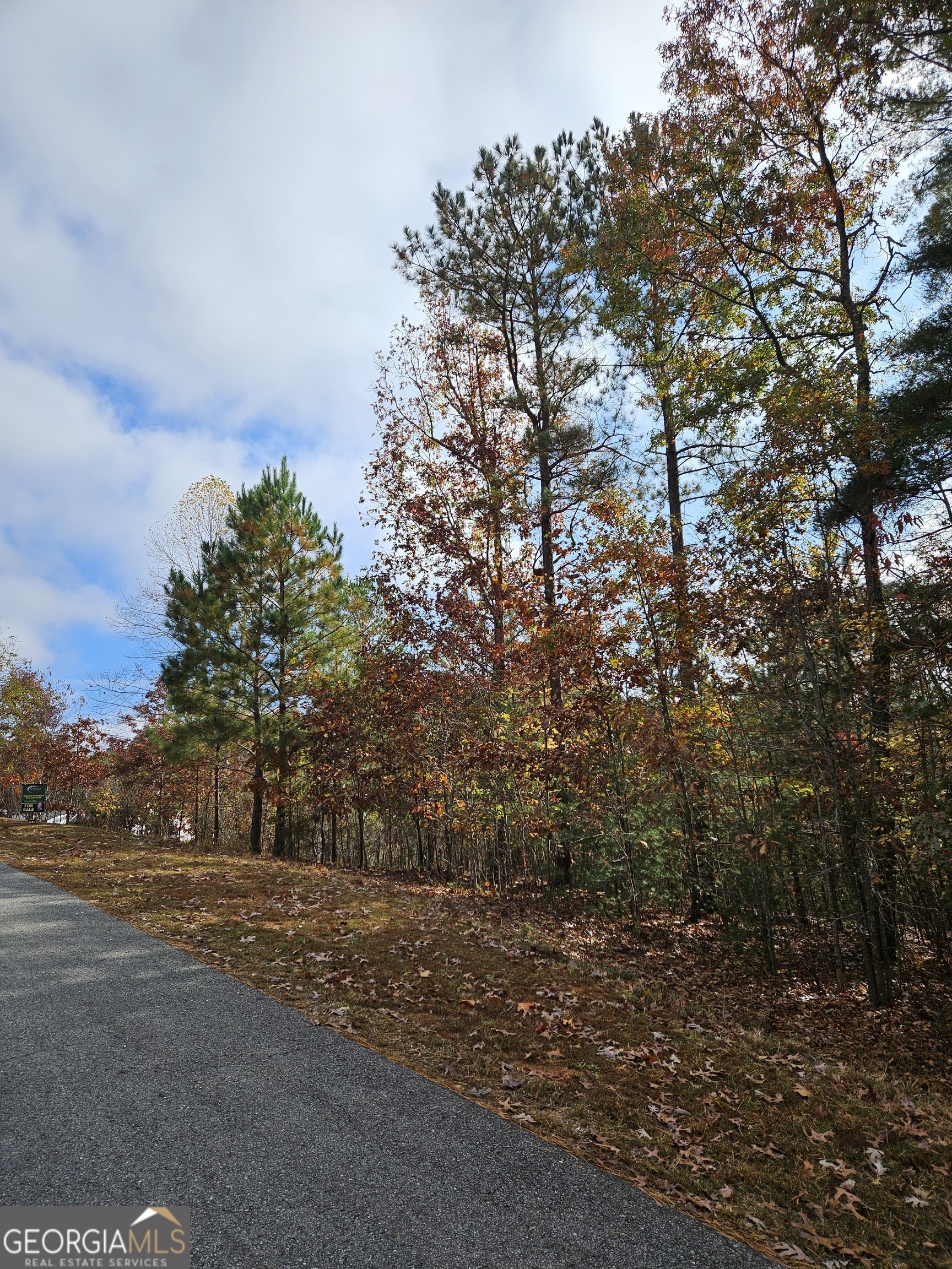 0 The Hills Lane Blairsville GA 30512