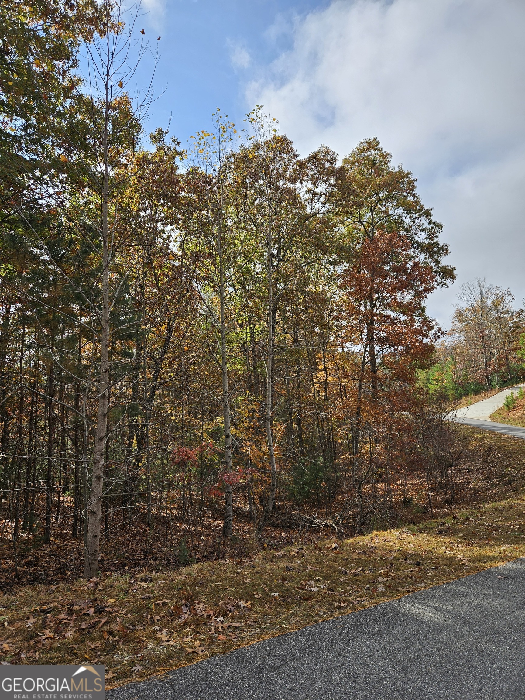 0 The Hills Lane Blairsville GA 30512