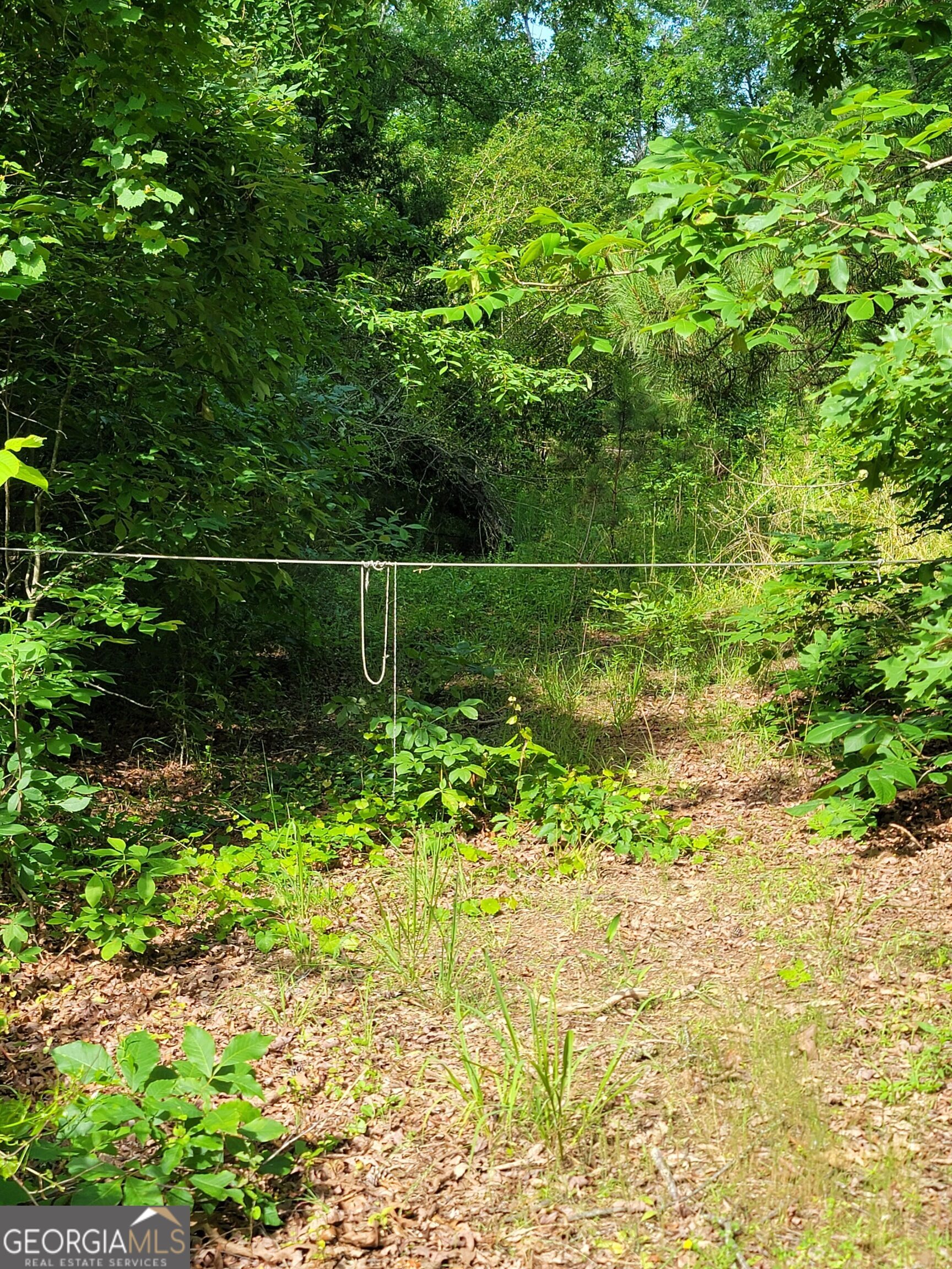355 Chuli Road Locust Grove GA 30248