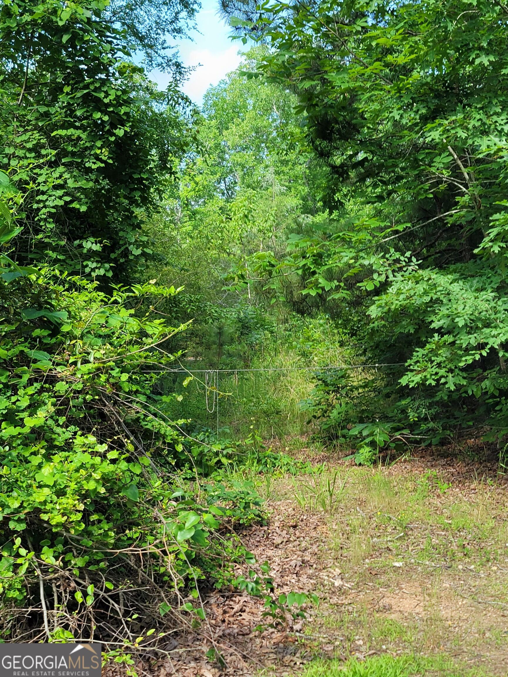 355 Chuli Road Locust Grove GA 30248