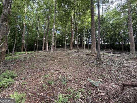 0 Martin Head Circle Dahlonega GA 30533