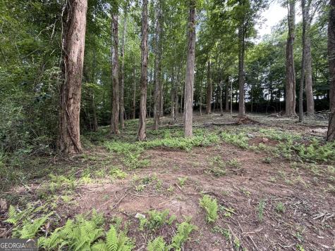 0 Martin Head Circle Dahlonega GA 30533