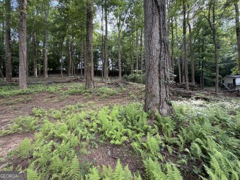 0 Martin Head Circle Dahlonega GA 30533