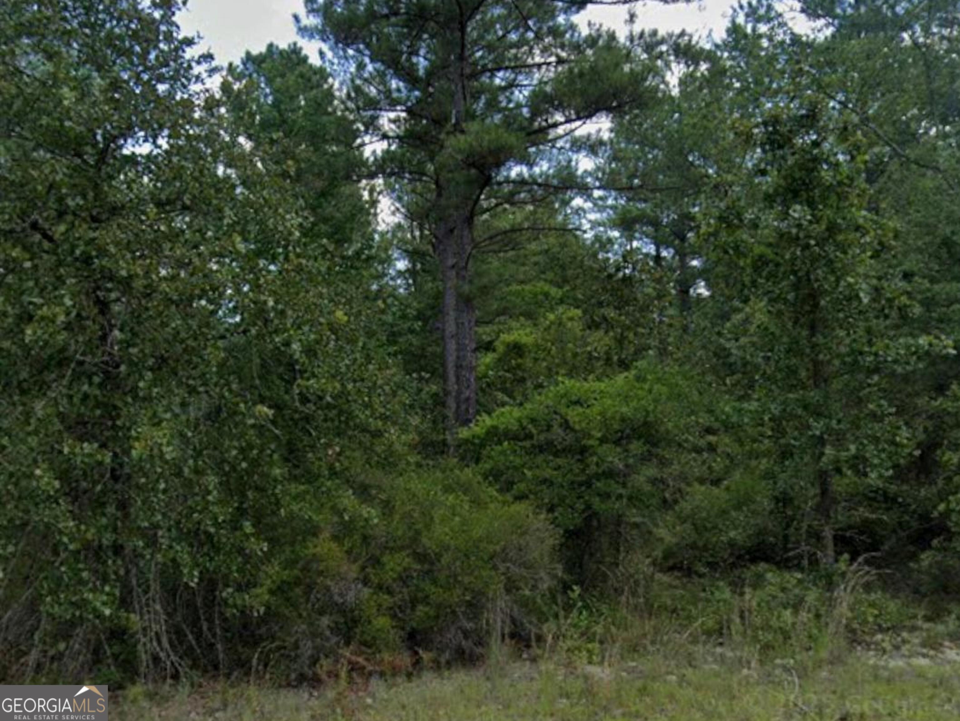 0 Addie Trail Dublin GA 31021