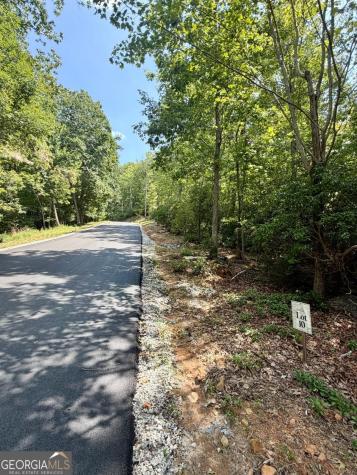 Lot 10 Sapphire Ridge Blue Ridge GA 30513