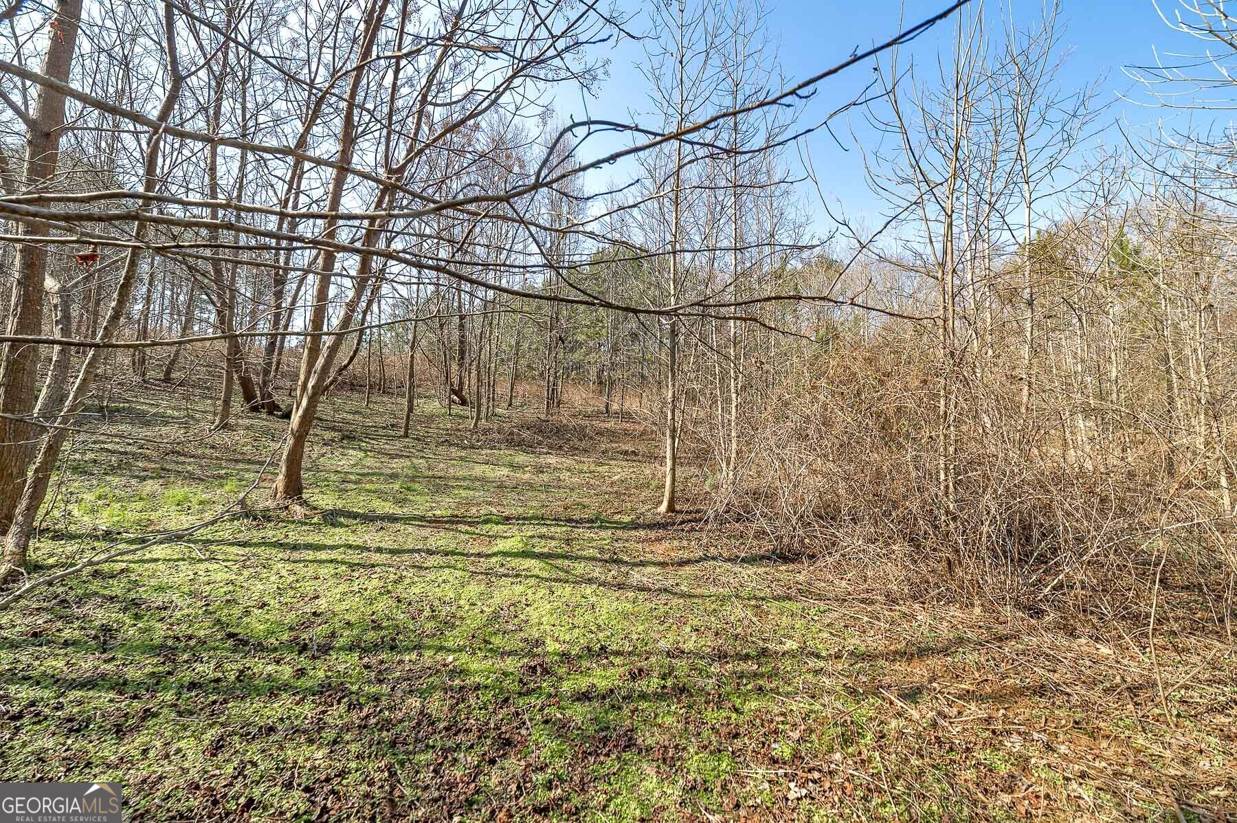 170 Mackey Road Mcdonough GA 30252