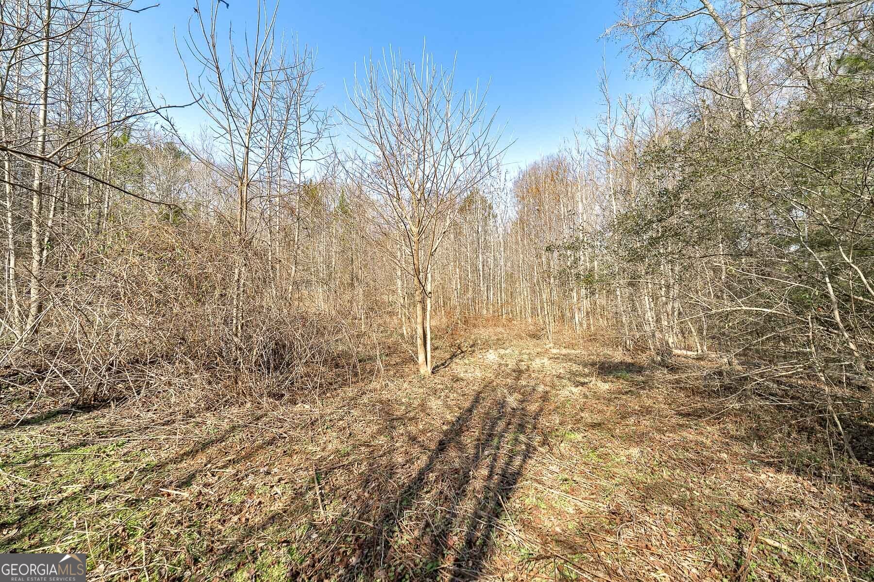 170 Mackey Road Mcdonough GA 30252