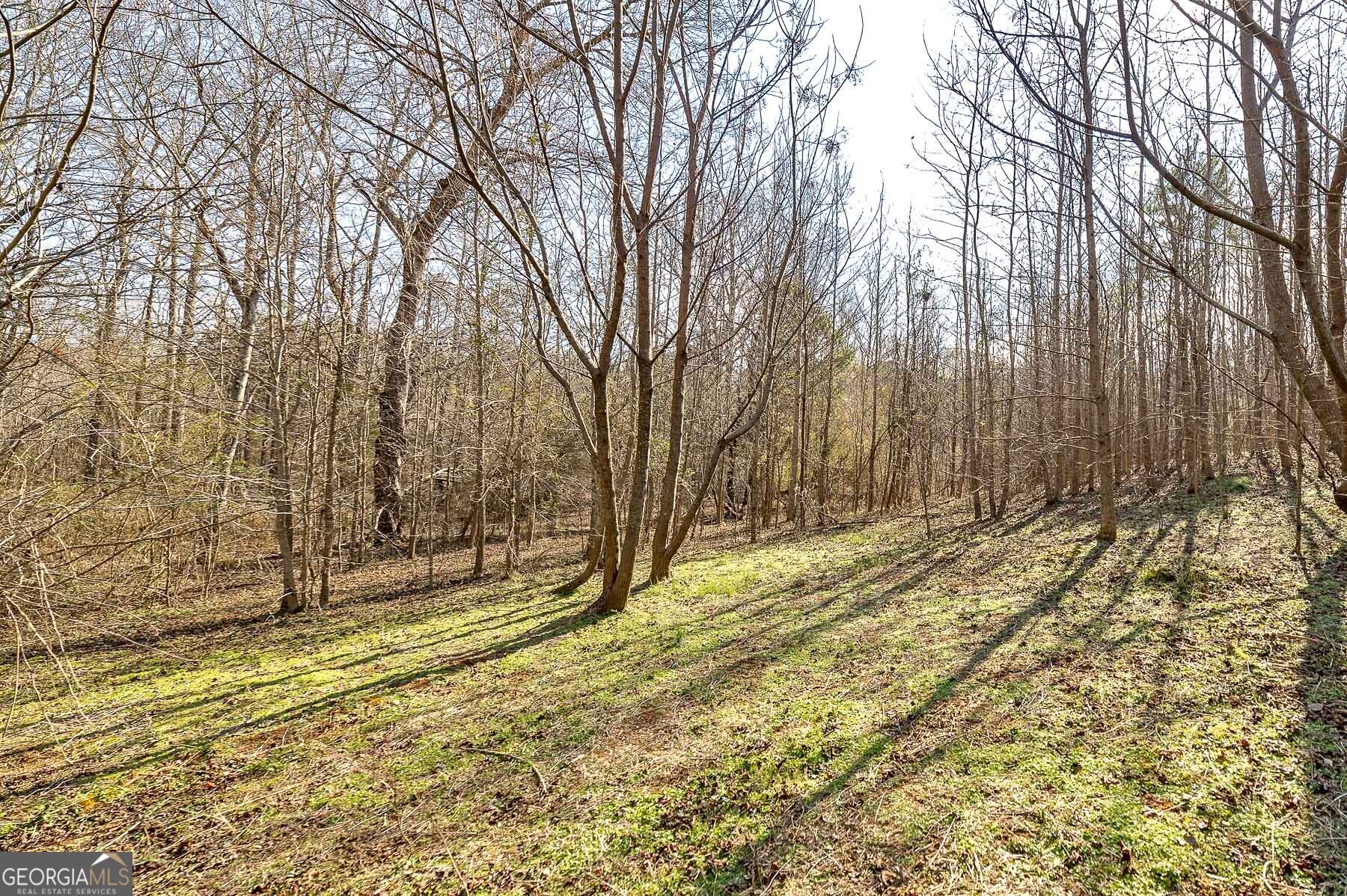 170 Mackey Road Mcdonough GA 30252