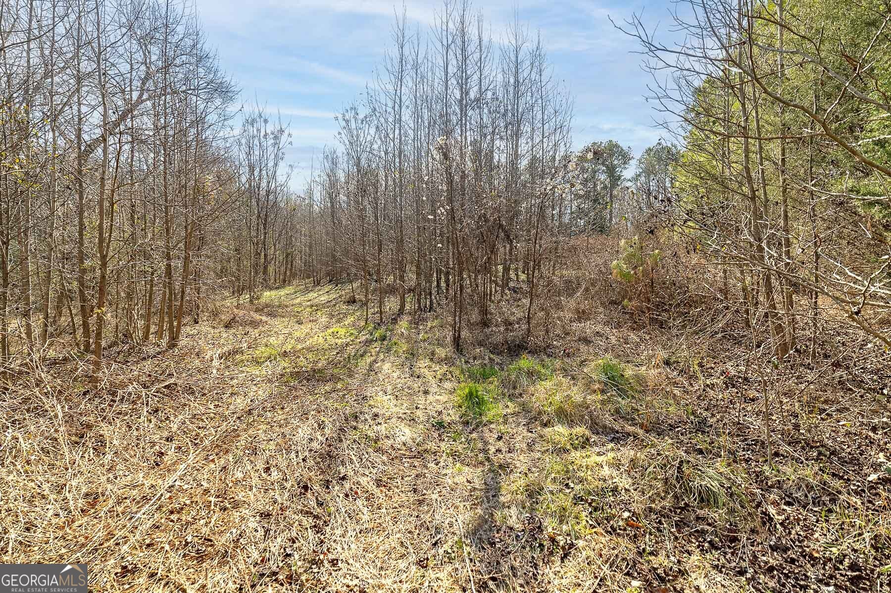 170 Mackey Road Mcdonough GA 30252