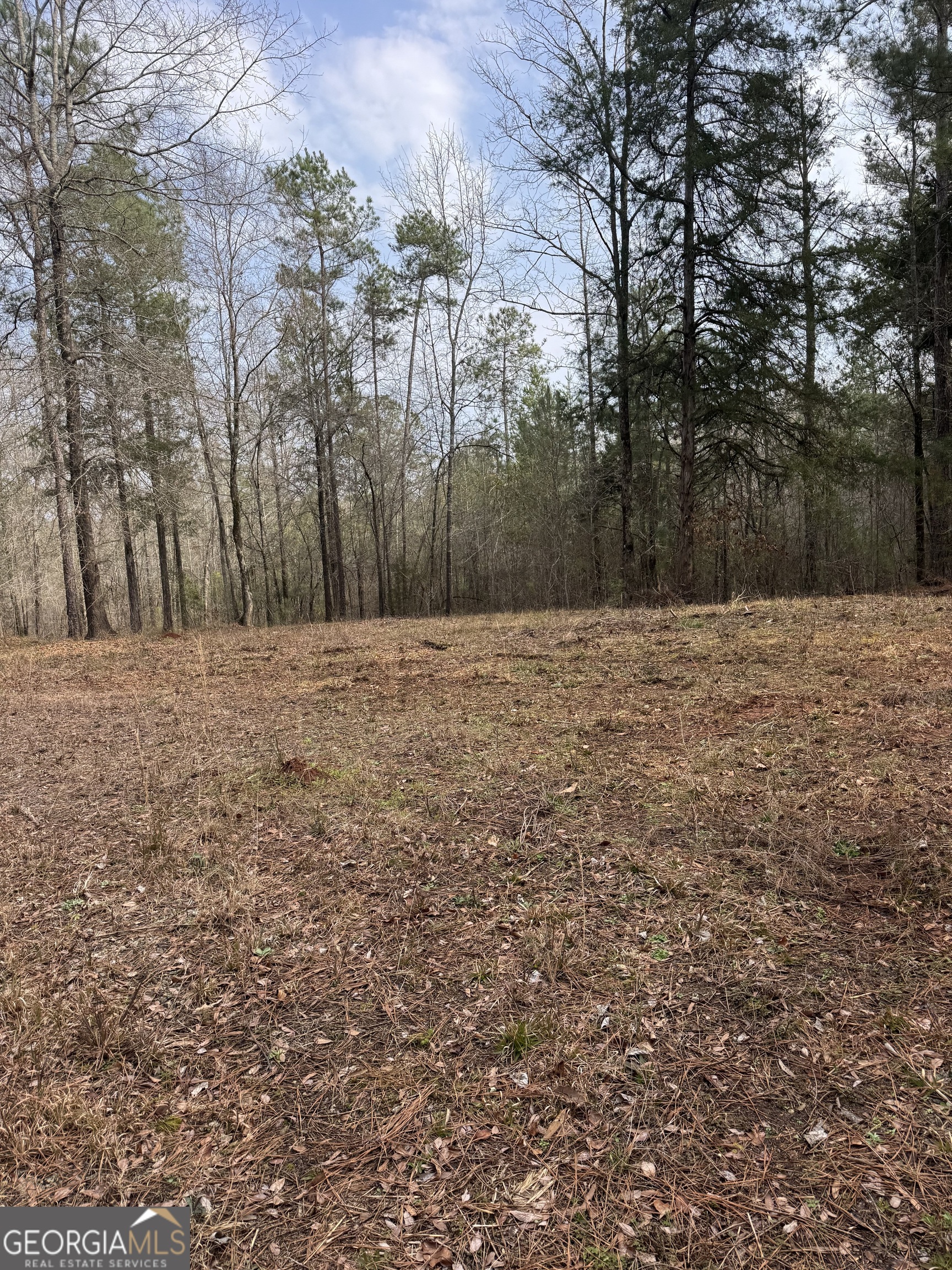 0 Highway 87 Juliette GA 31046