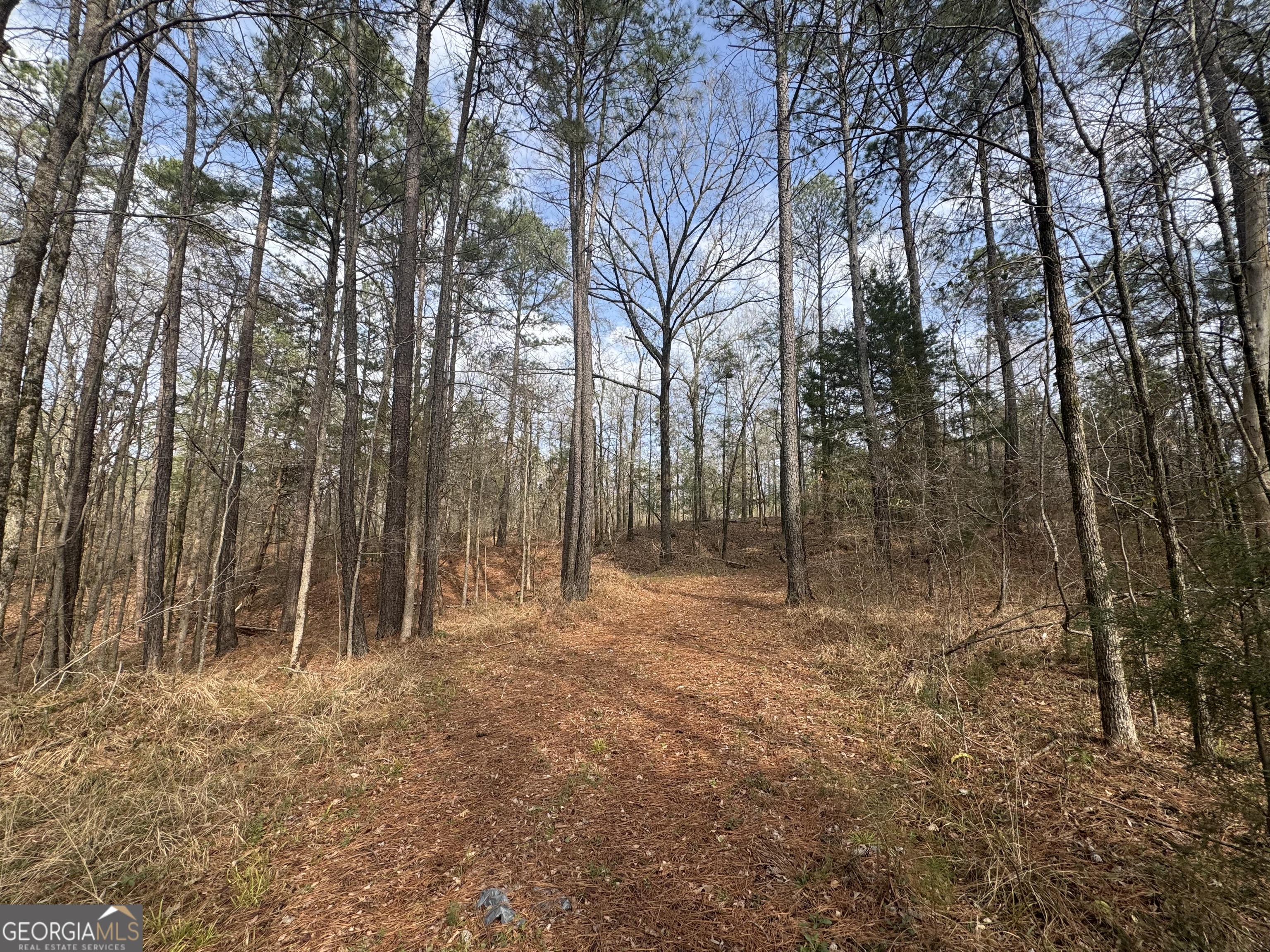 0 Highway 87 Juliette GA 31046