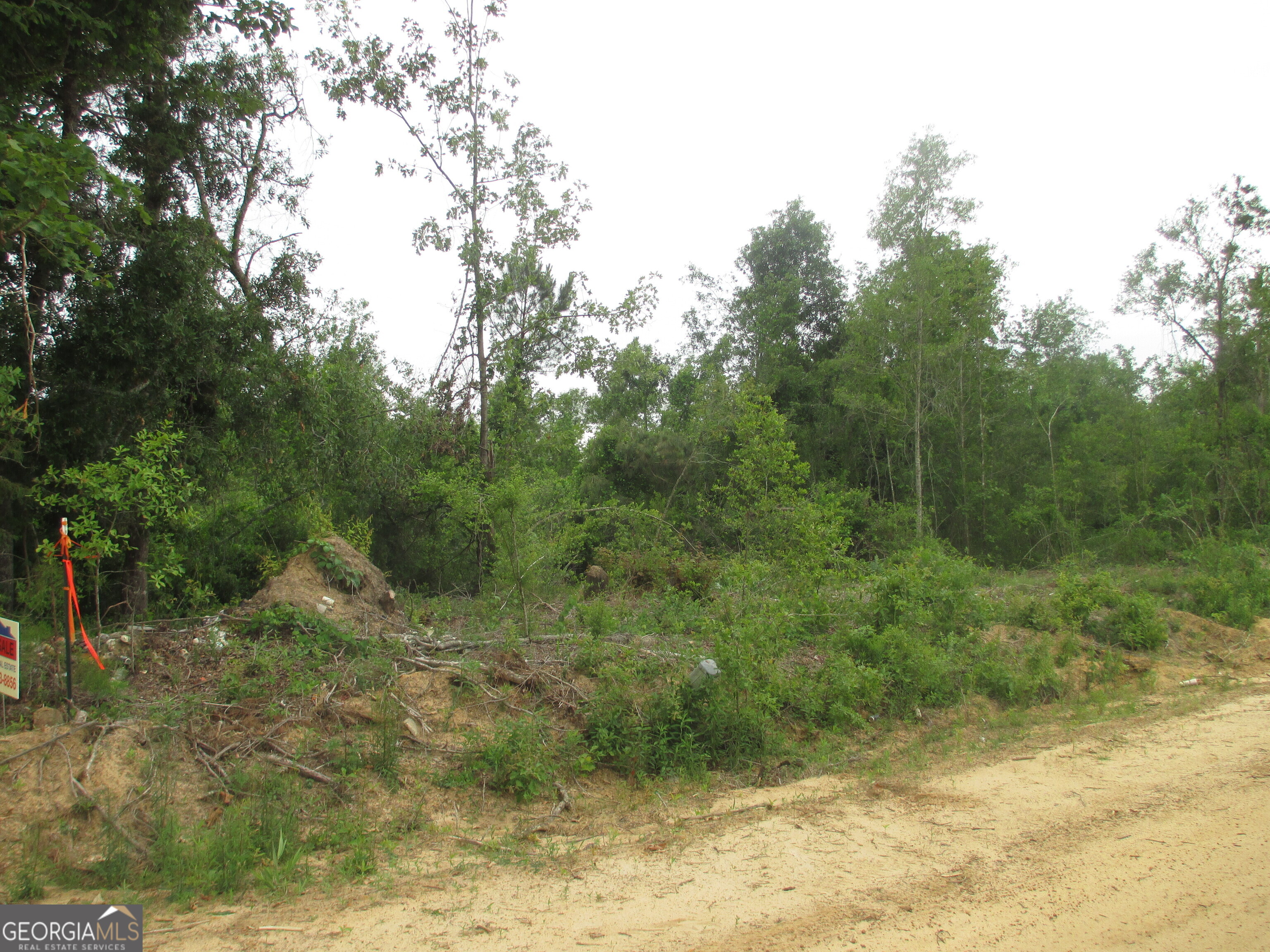 08600008T6 Hayride Road Lumber City GA 31549