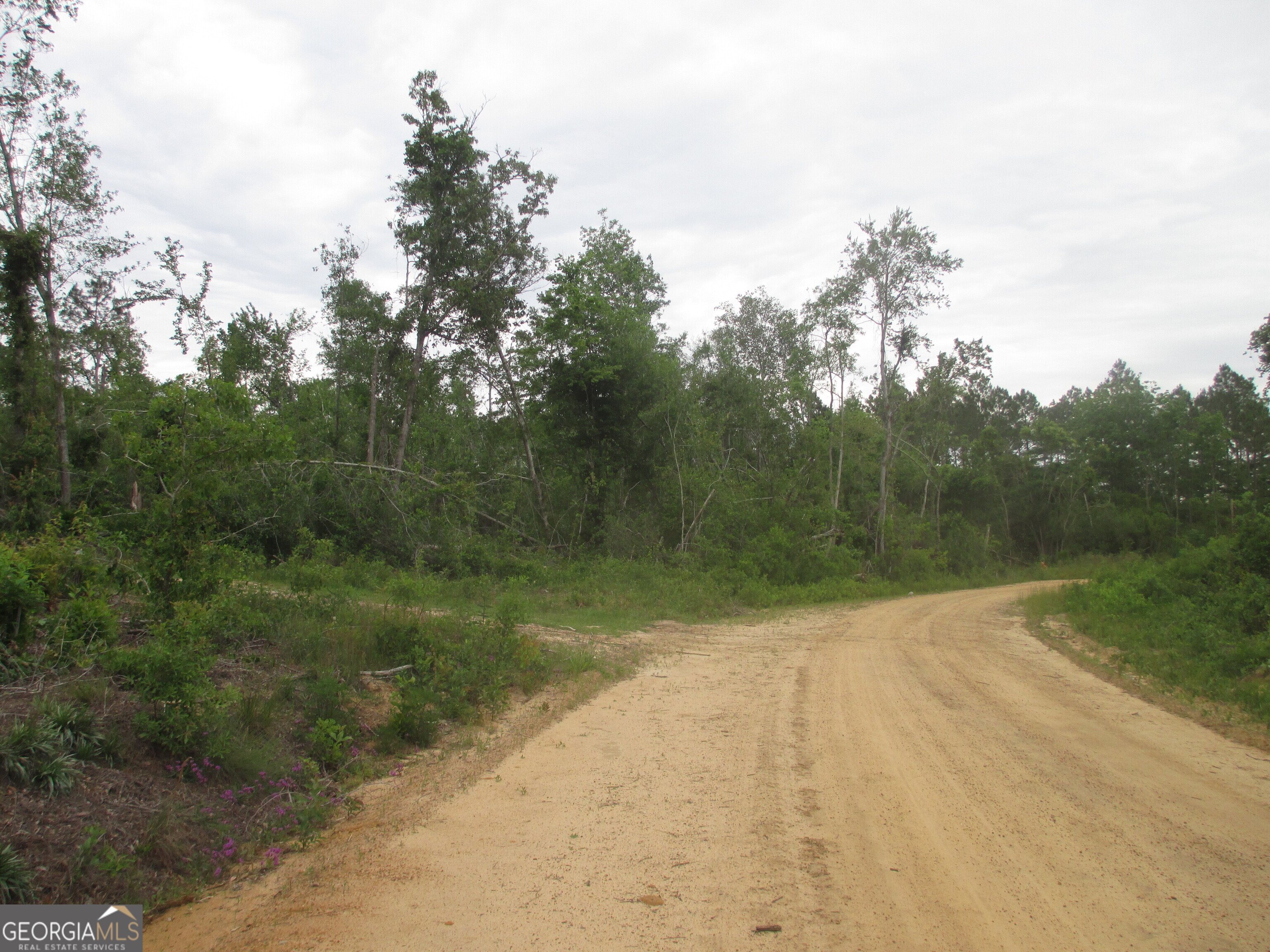 08600008T6 Hayride Road Lumber City GA 31549