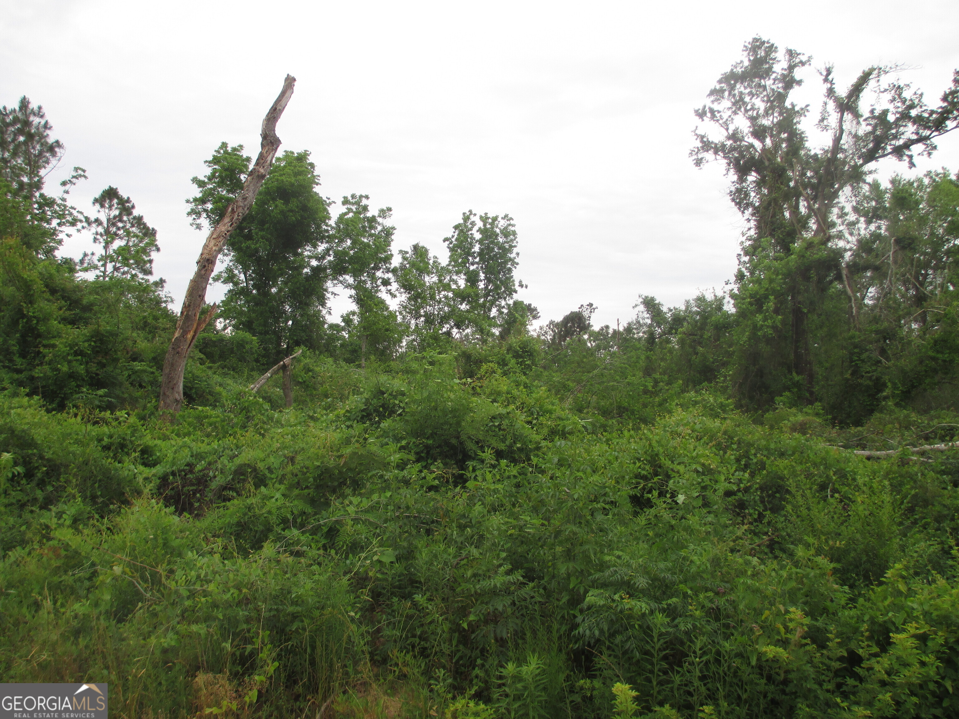 08600008T6 Hayride Road Lumber City GA 31549