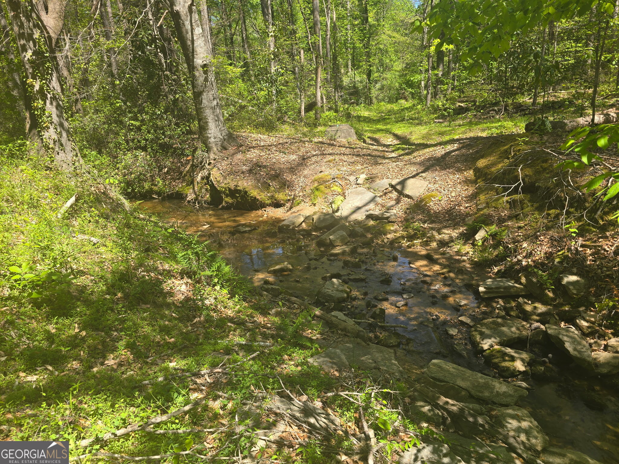 0 Hilltop Lane Toccoa GA 30577