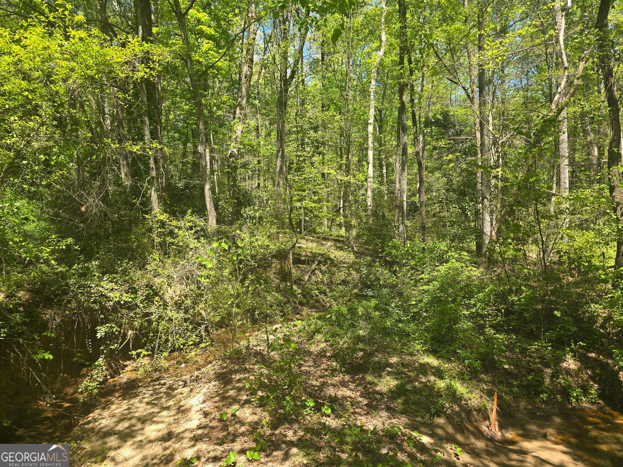 0 Hilltop Lane Toccoa GA 30577