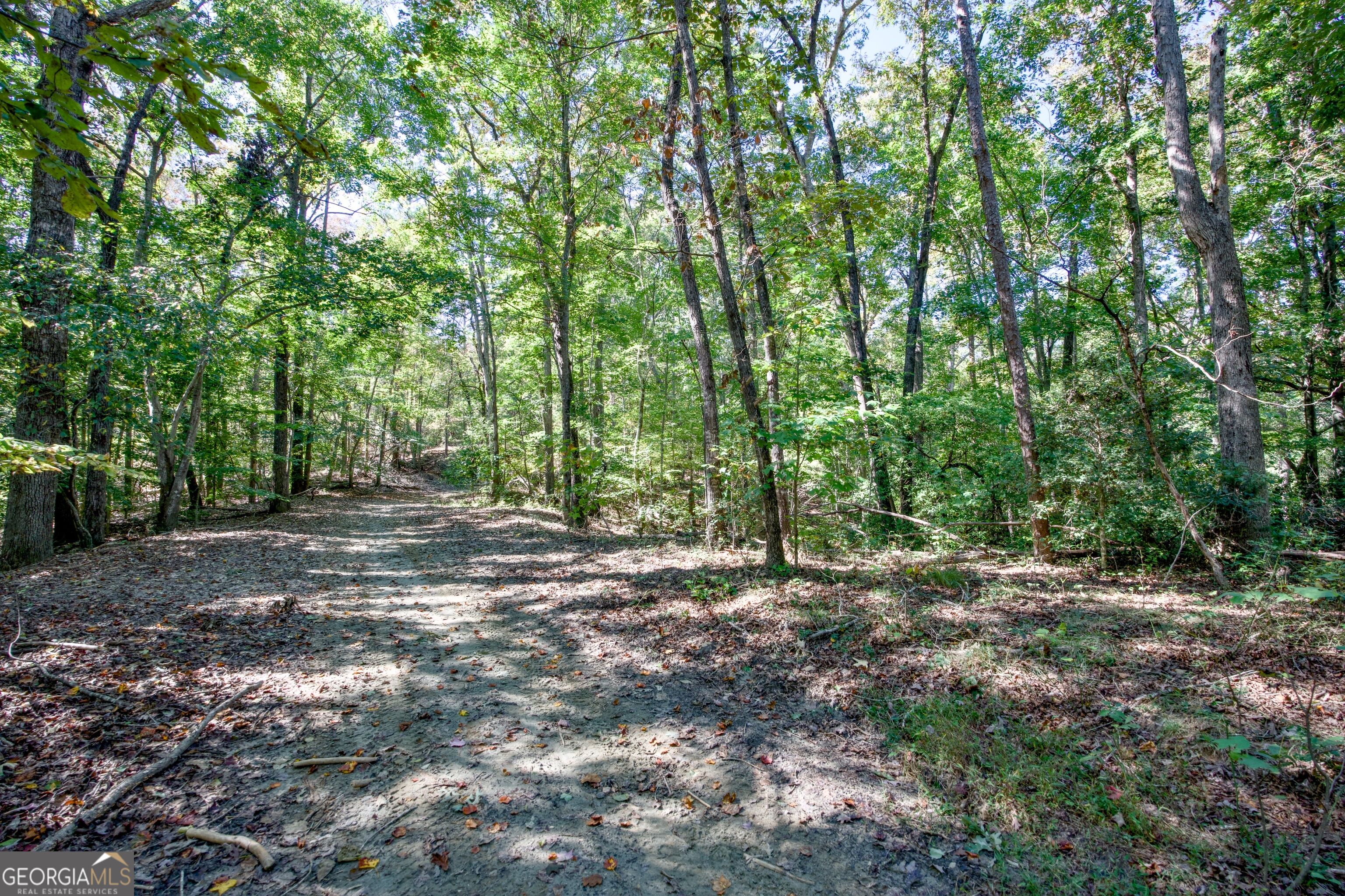 16 Ac Soapstone Road Baldwin GA 30511