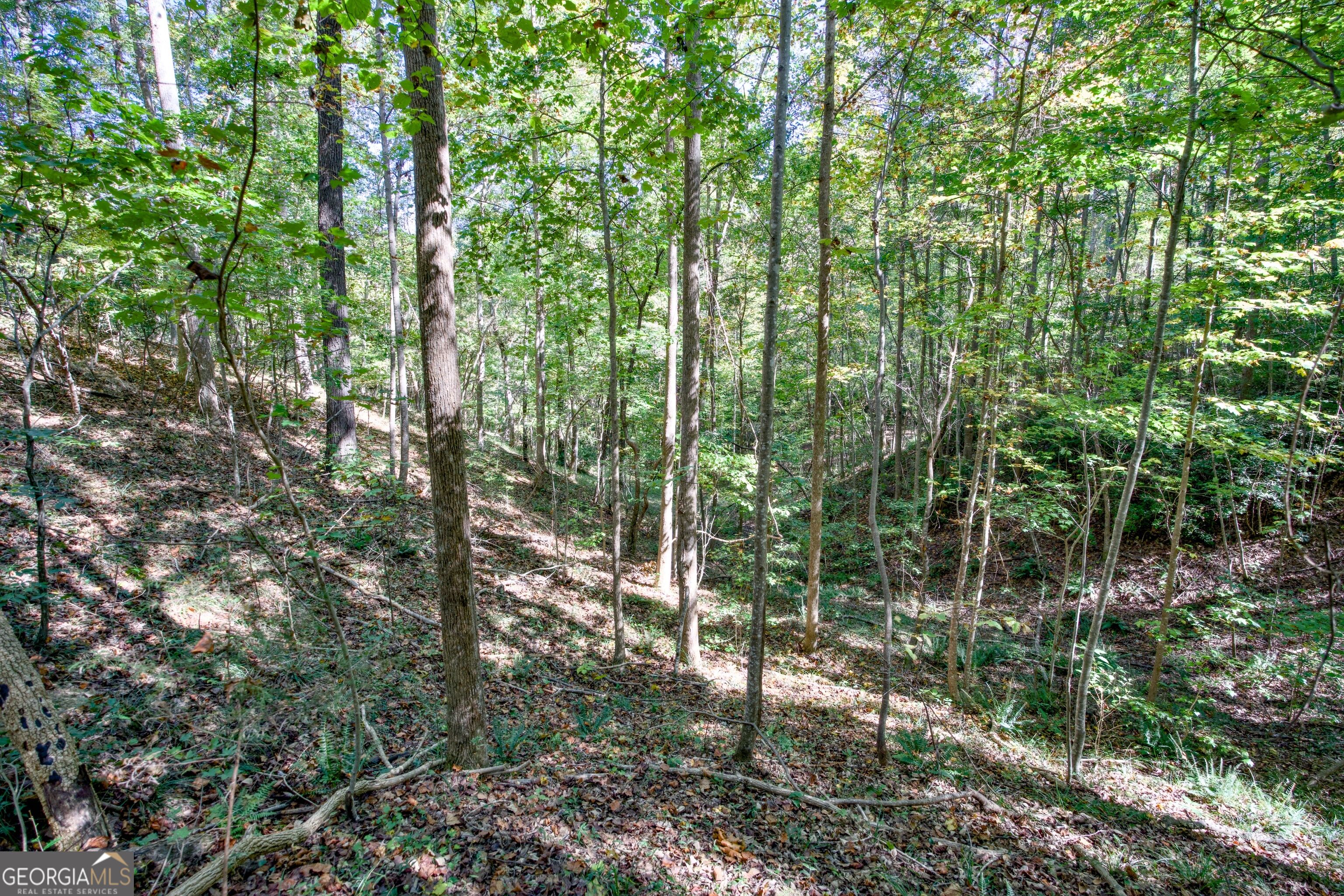 16 Ac Soapstone Road Baldwin GA 30511