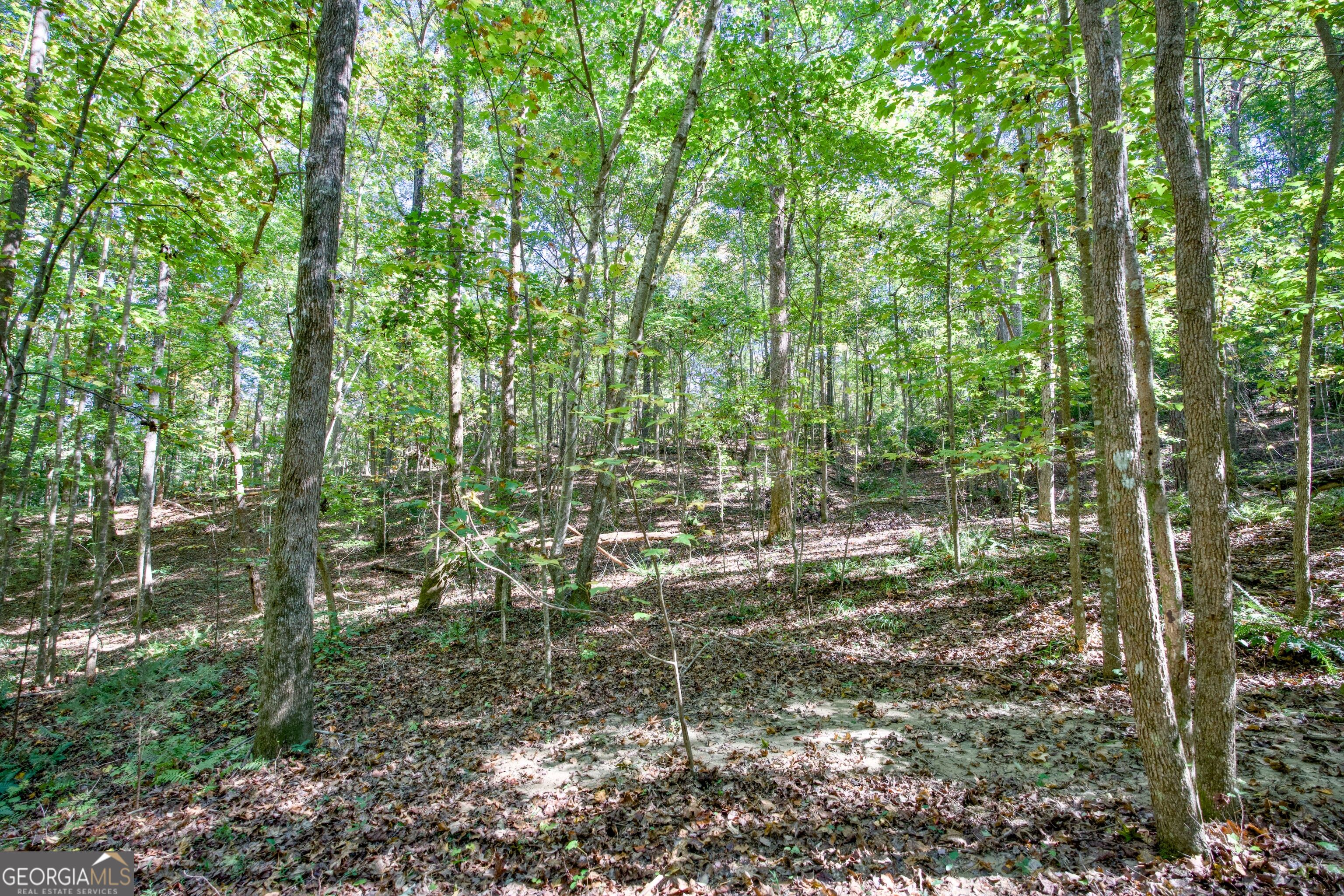 16 Ac Soapstone Road Baldwin GA 30511