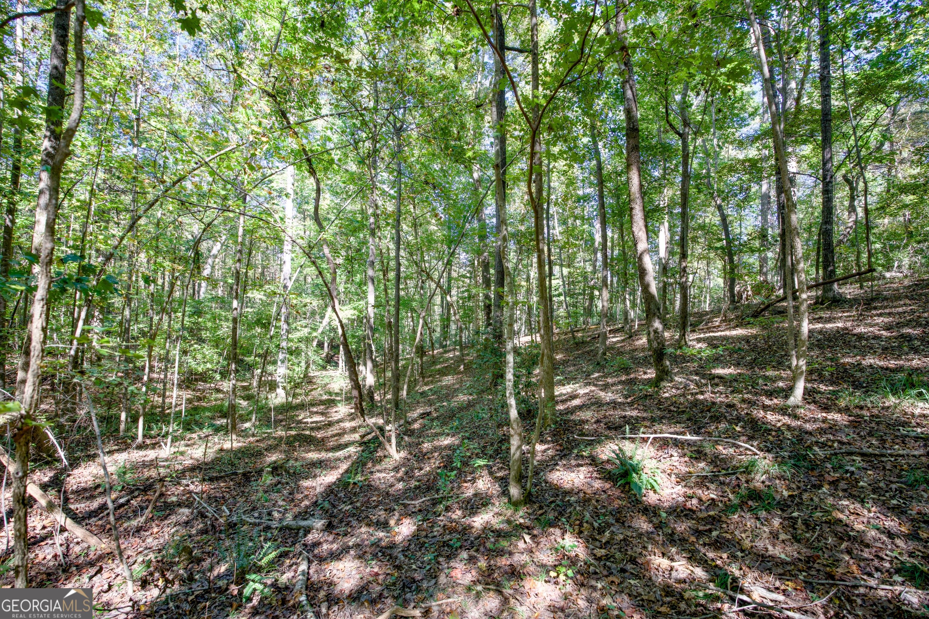 16 Ac Soapstone Road Baldwin GA 30511