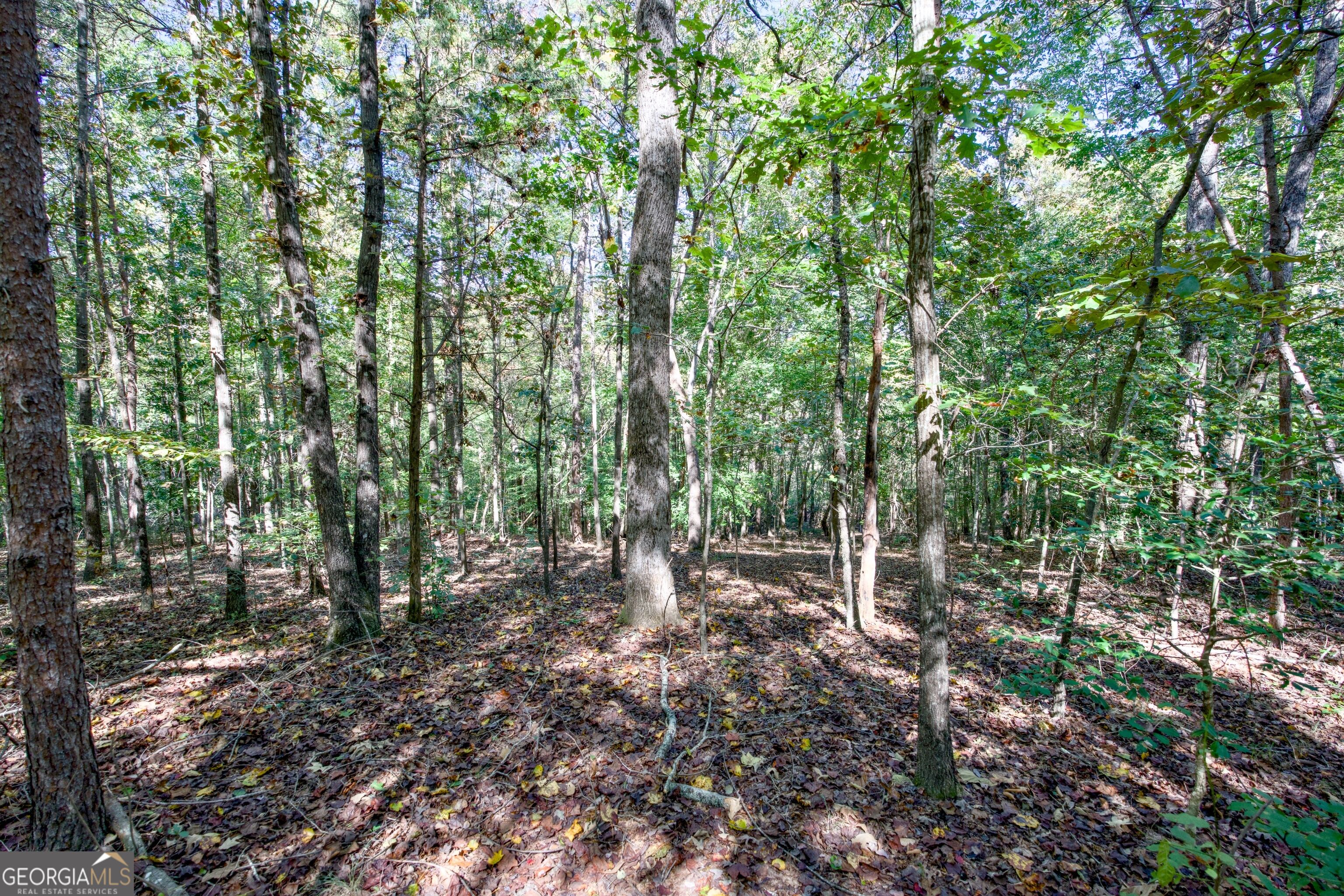 16 Ac Soapstone Road Baldwin GA 30511