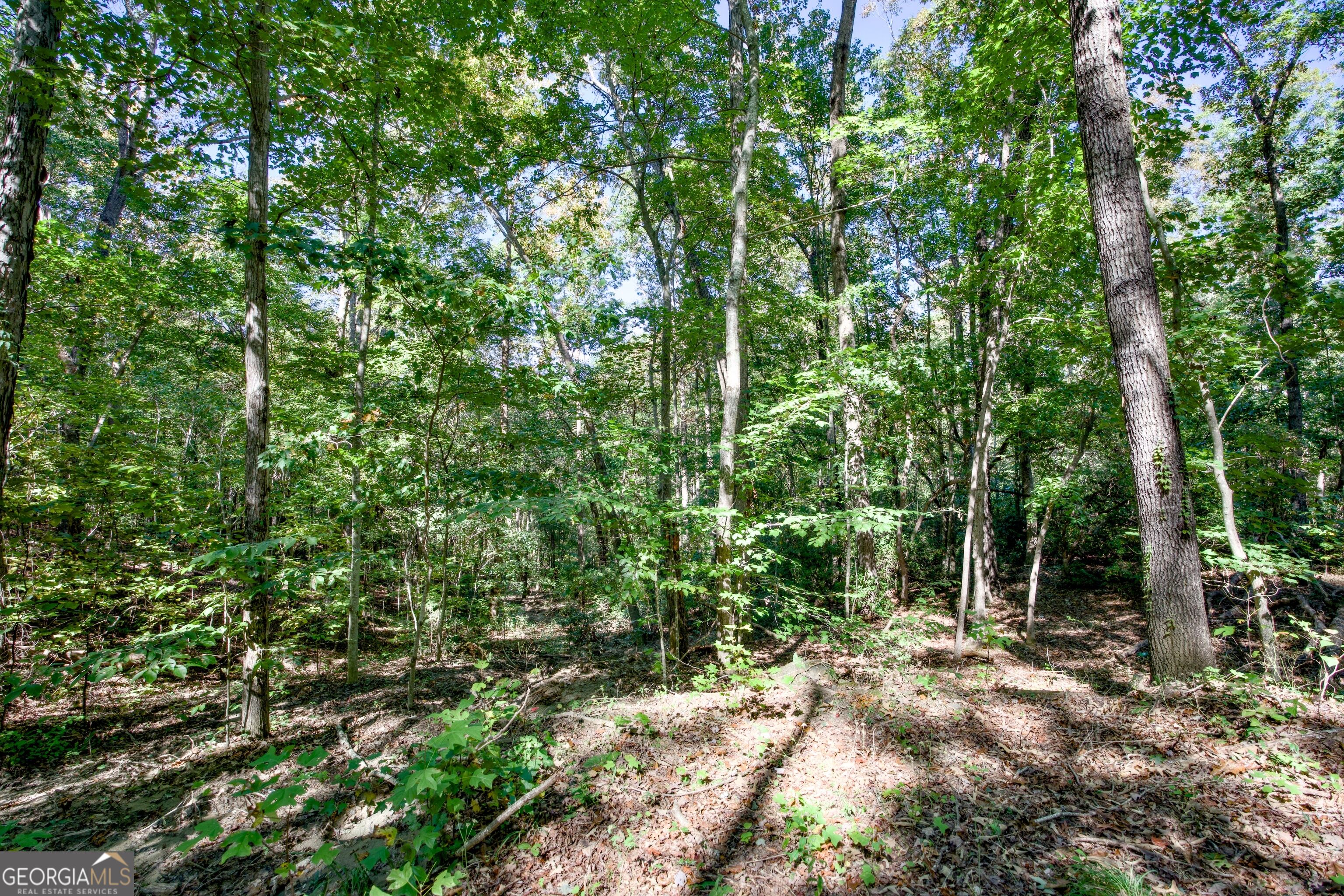 16 Ac Soapstone Road Baldwin GA 30511