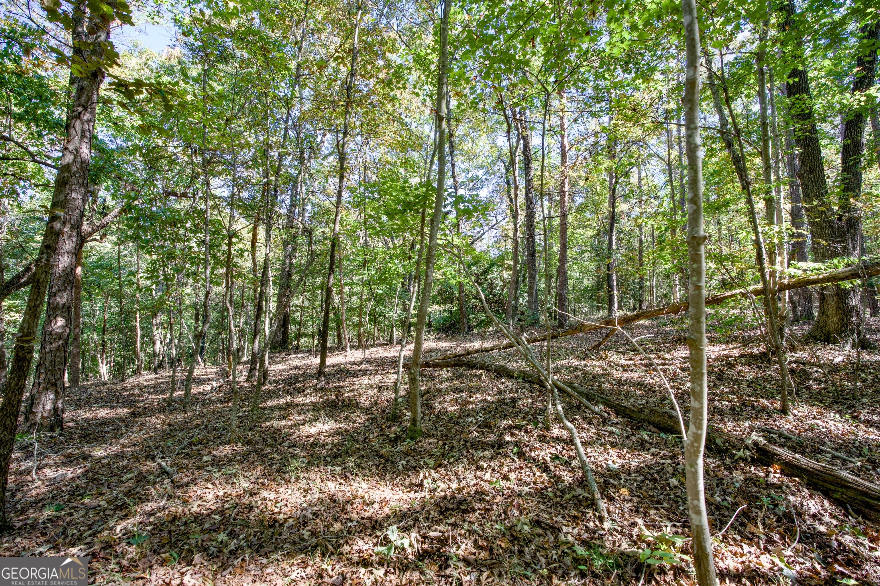 16 Ac Soapstone Road Baldwin GA 30511