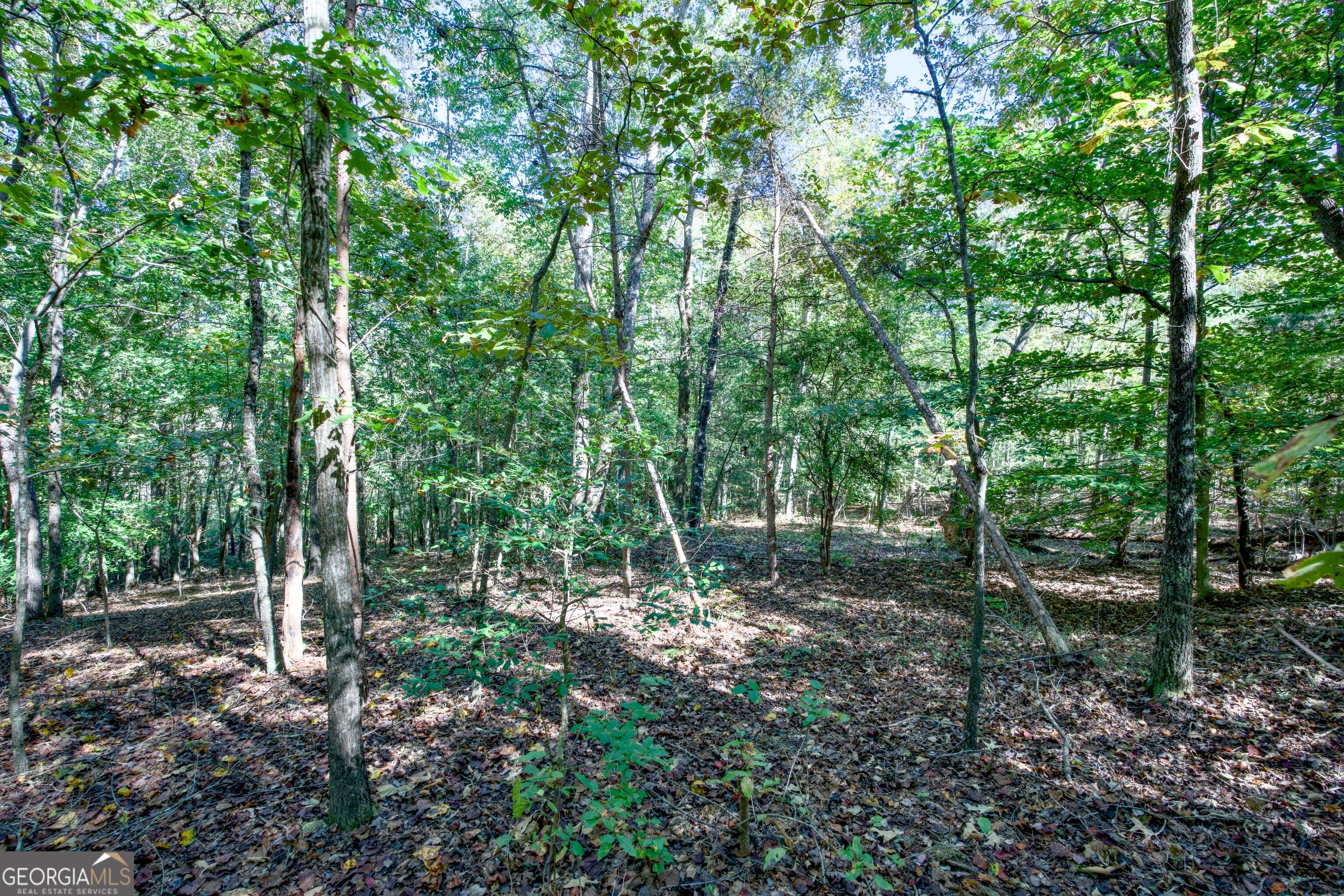 16 Ac Soapstone Road Baldwin GA 30511
