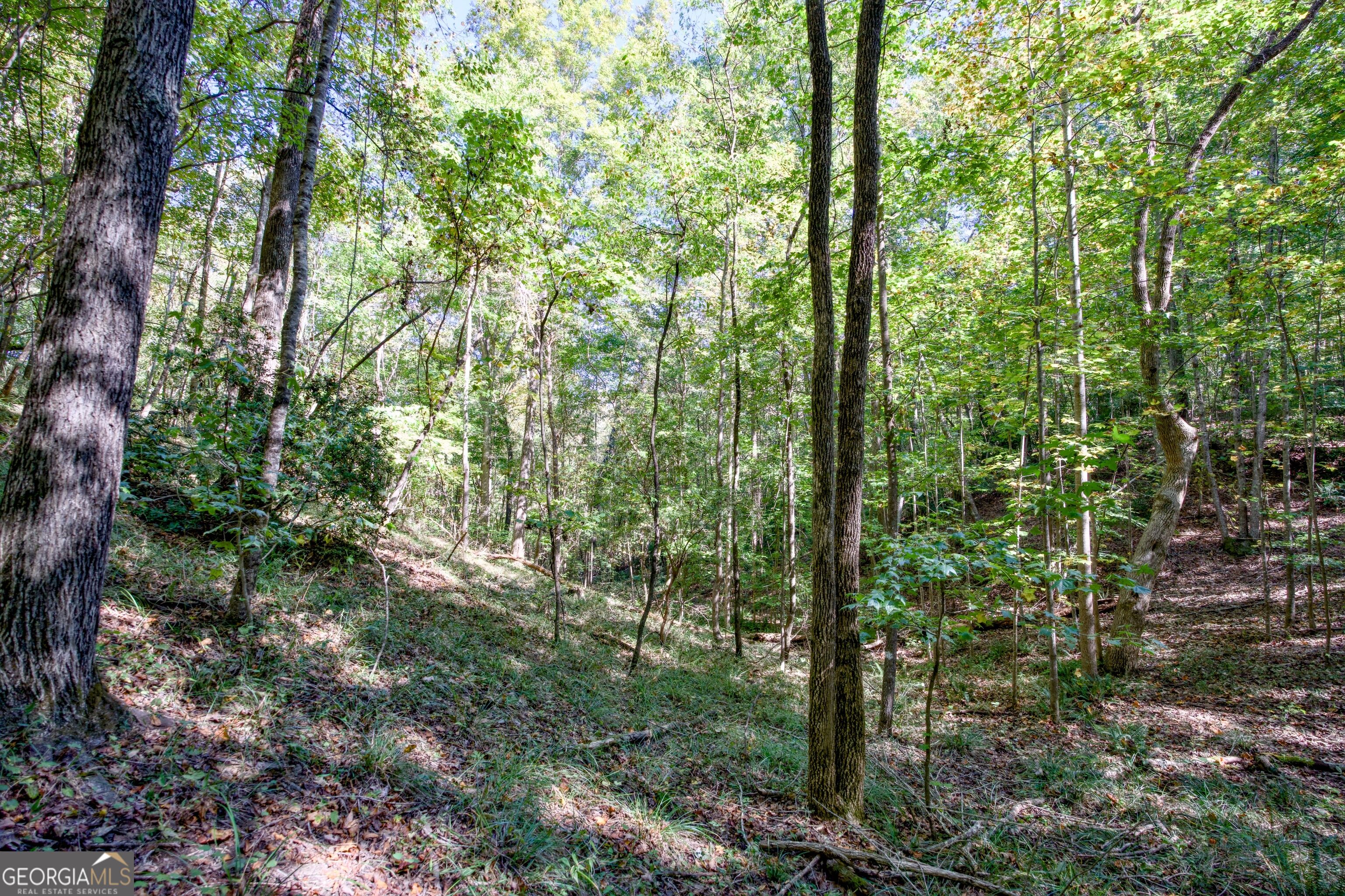 16 Ac Soapstone Road Baldwin GA 30511
