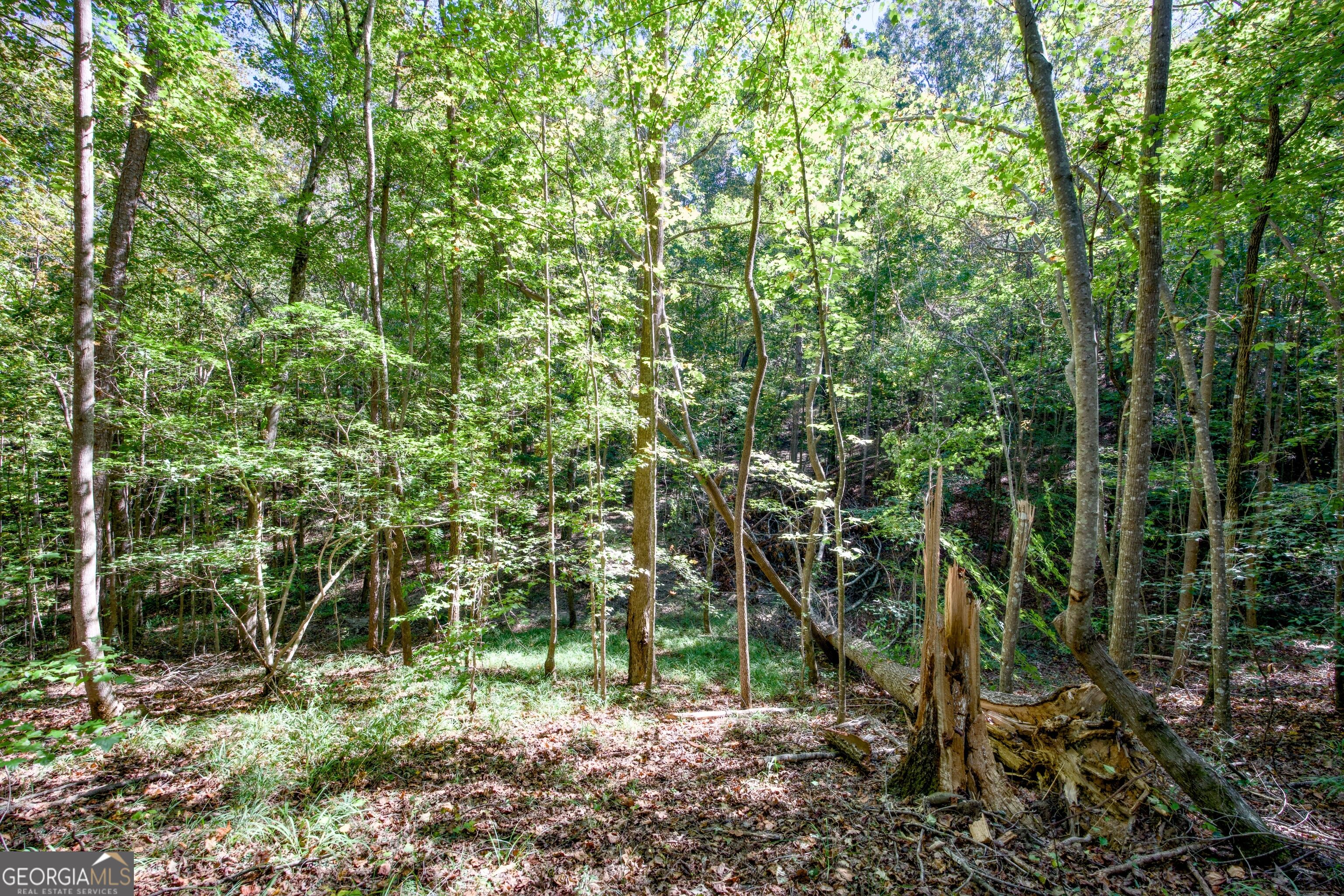 16 Ac Soapstone Road Baldwin GA 30511