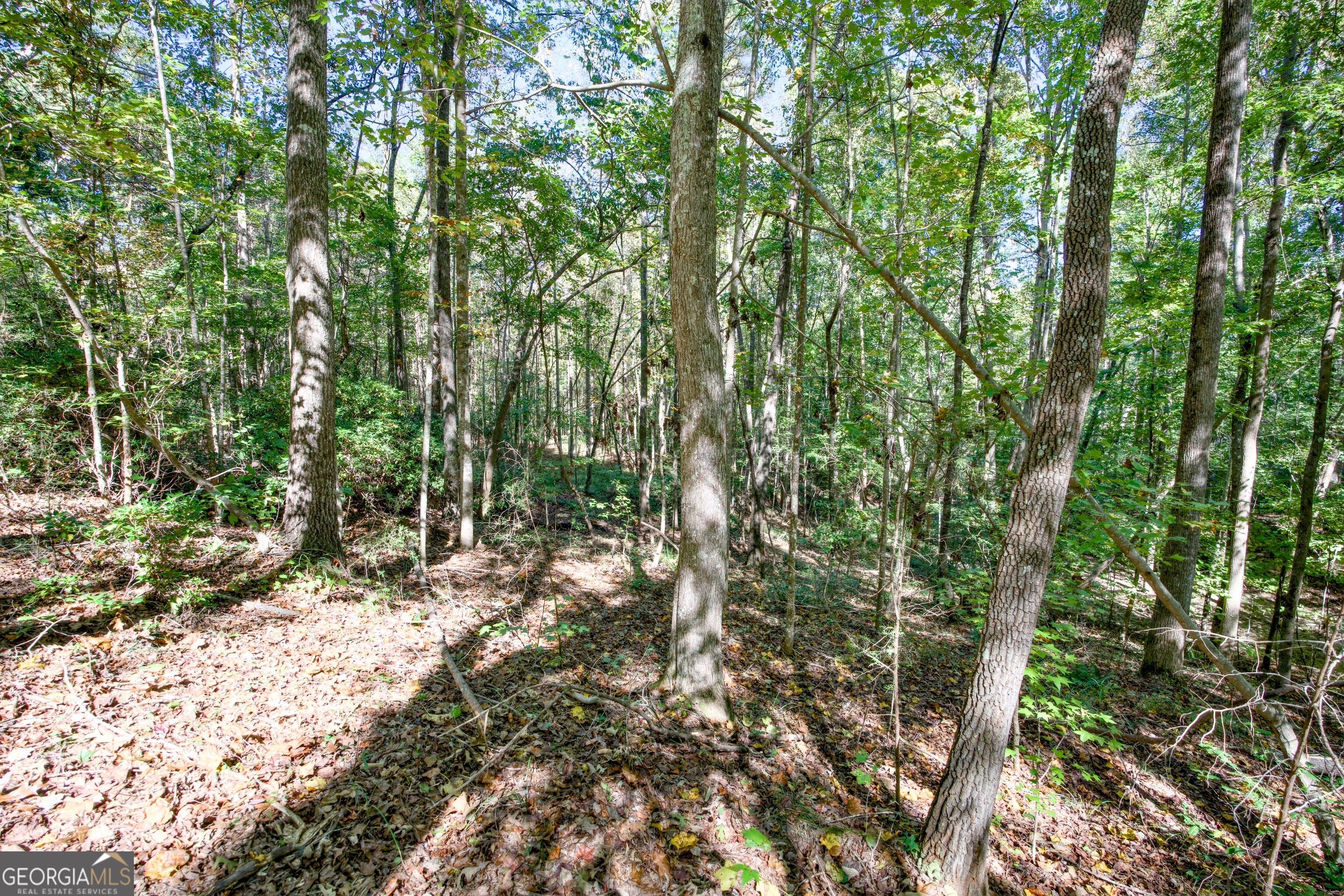 16 Ac Soapstone Road Baldwin GA 30511