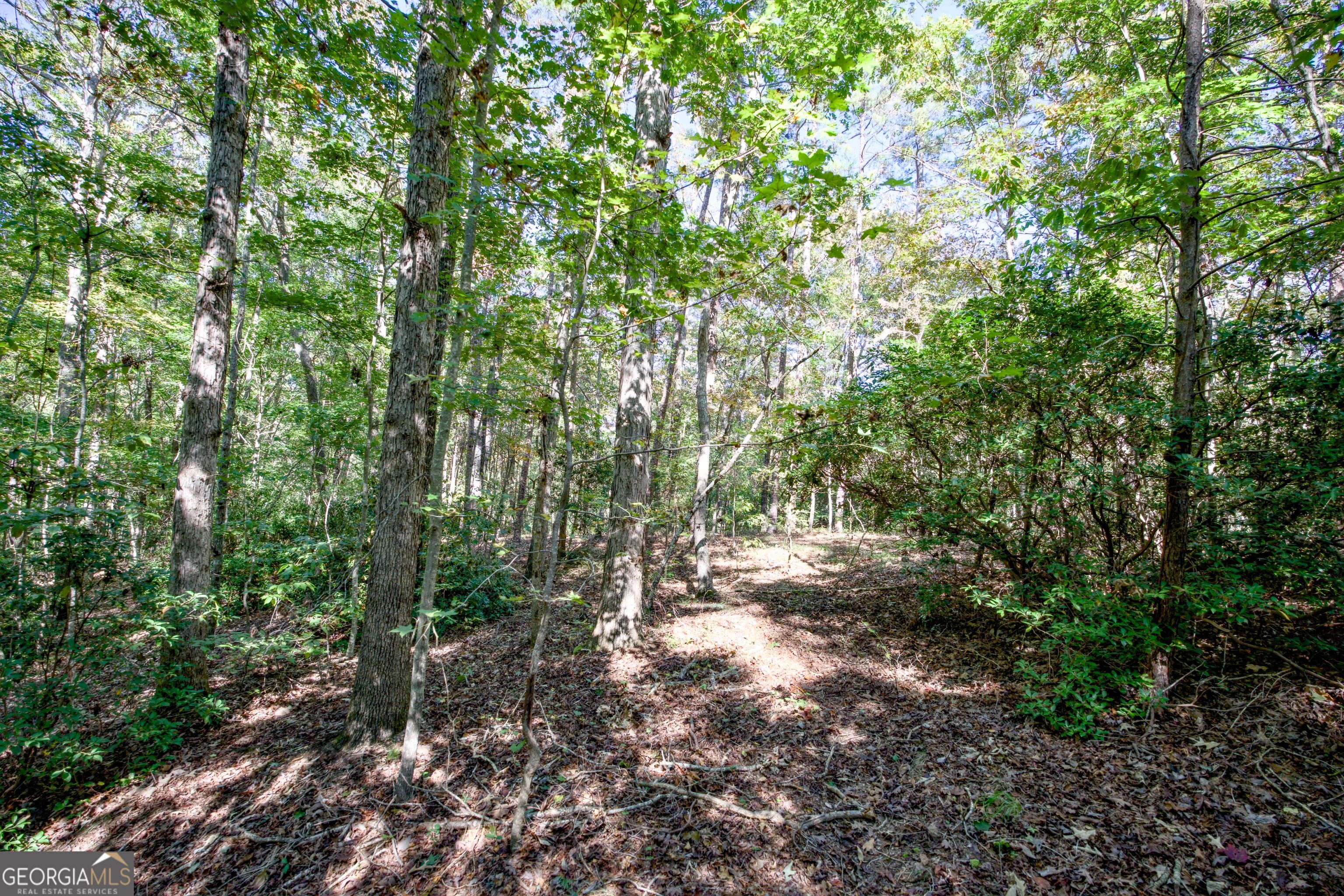 16 Ac Soapstone Road Baldwin GA 30511