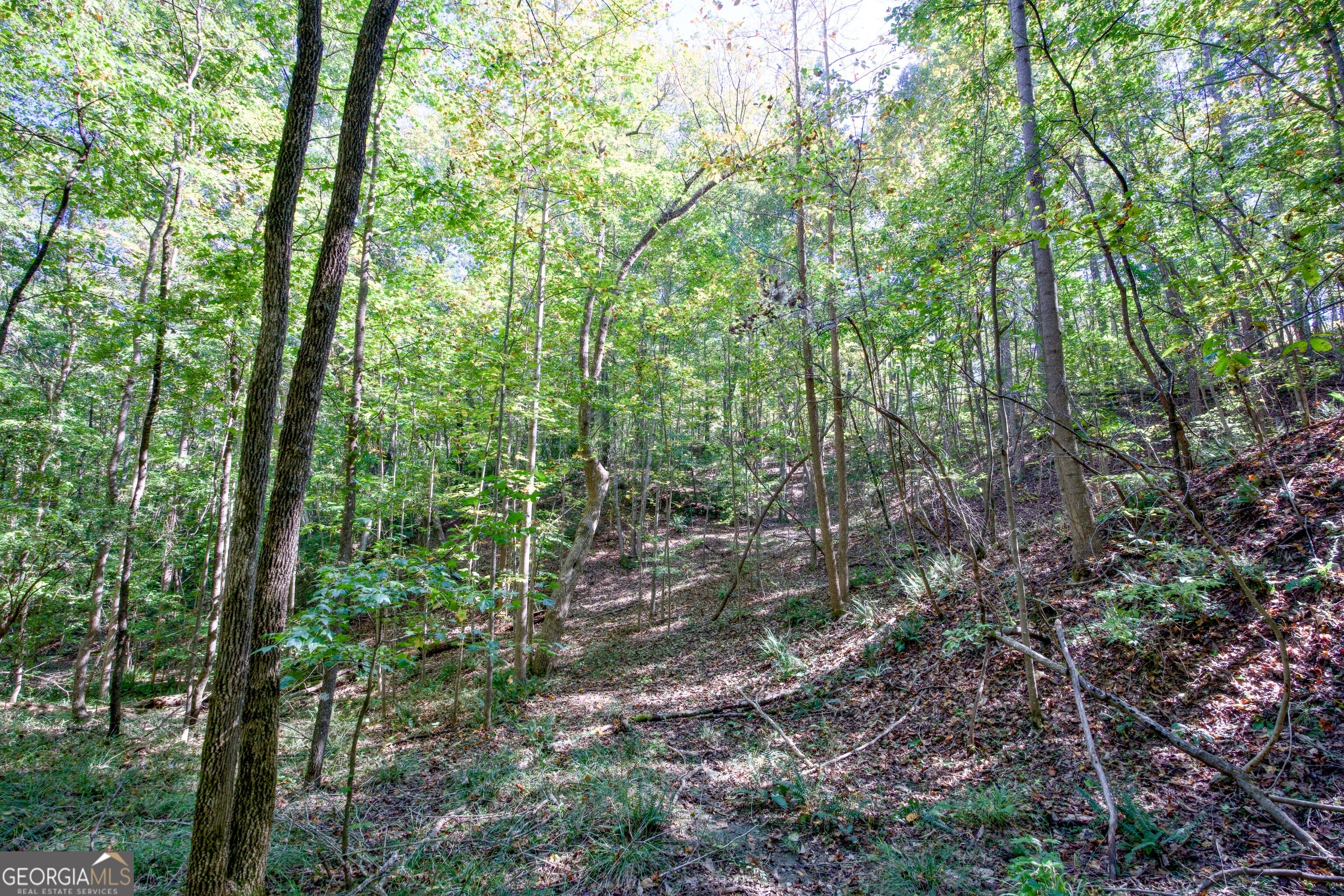 16 Ac Soapstone Road Baldwin GA 30511