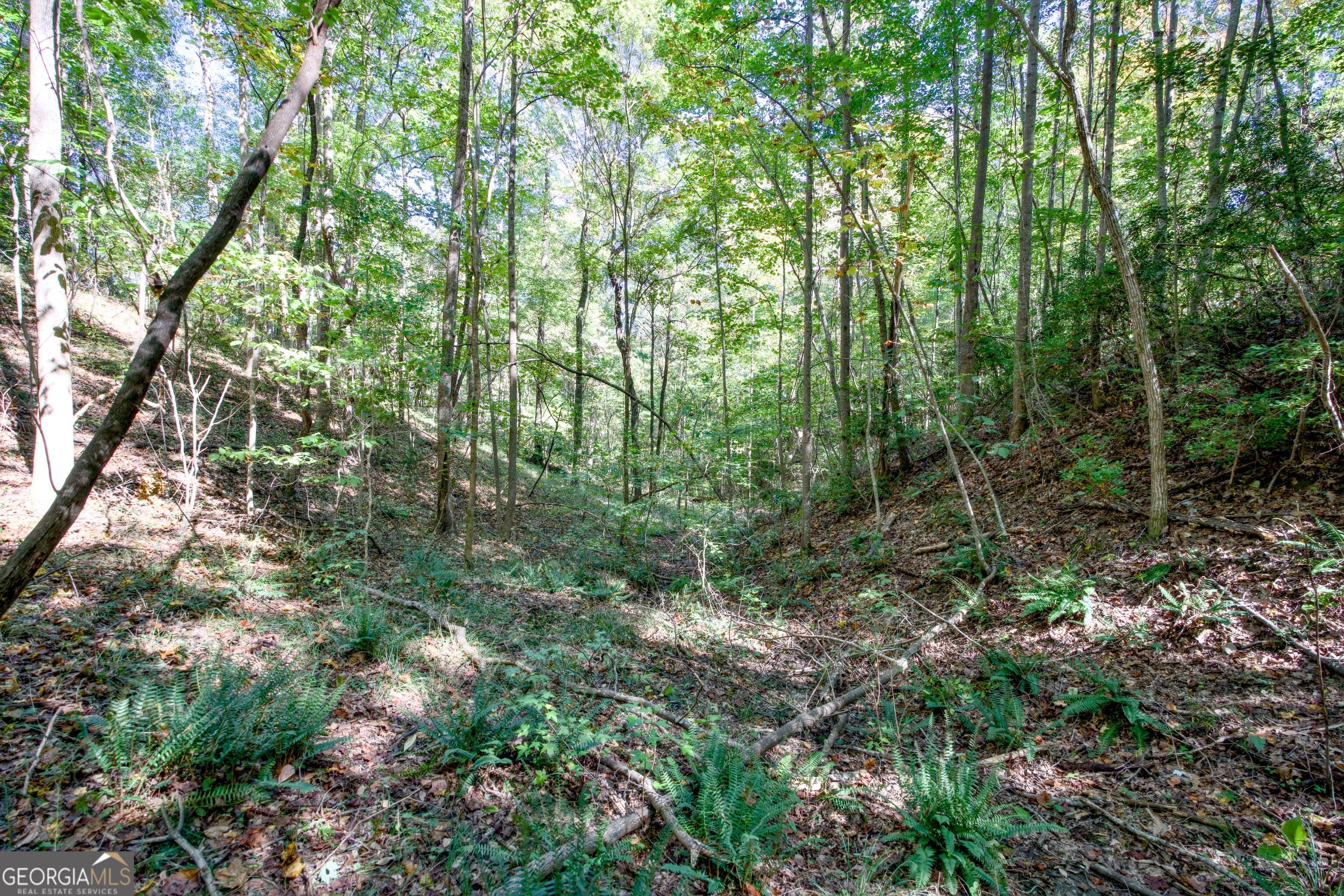 16 Ac Soapstone Road Baldwin GA 30511