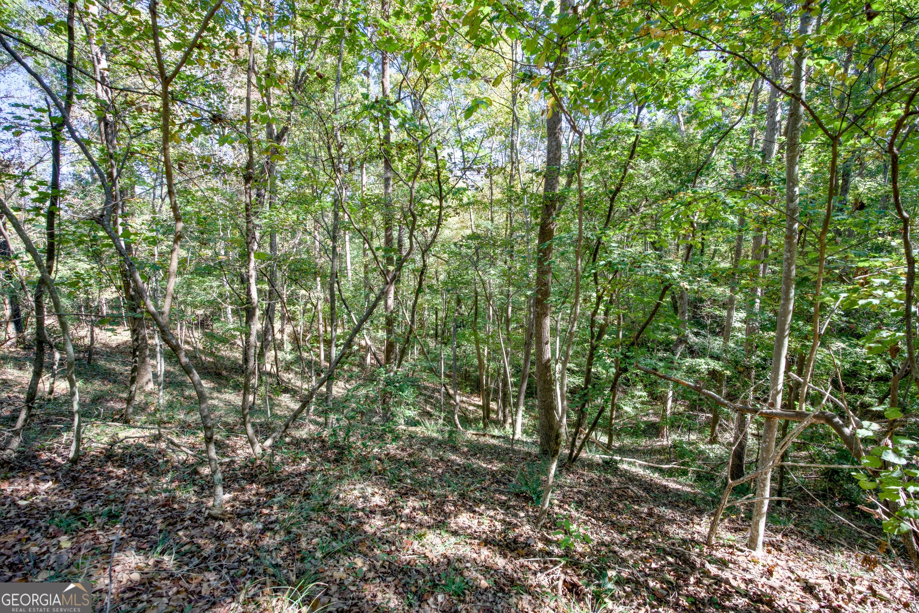 16 Ac Soapstone Road Baldwin GA 30511
