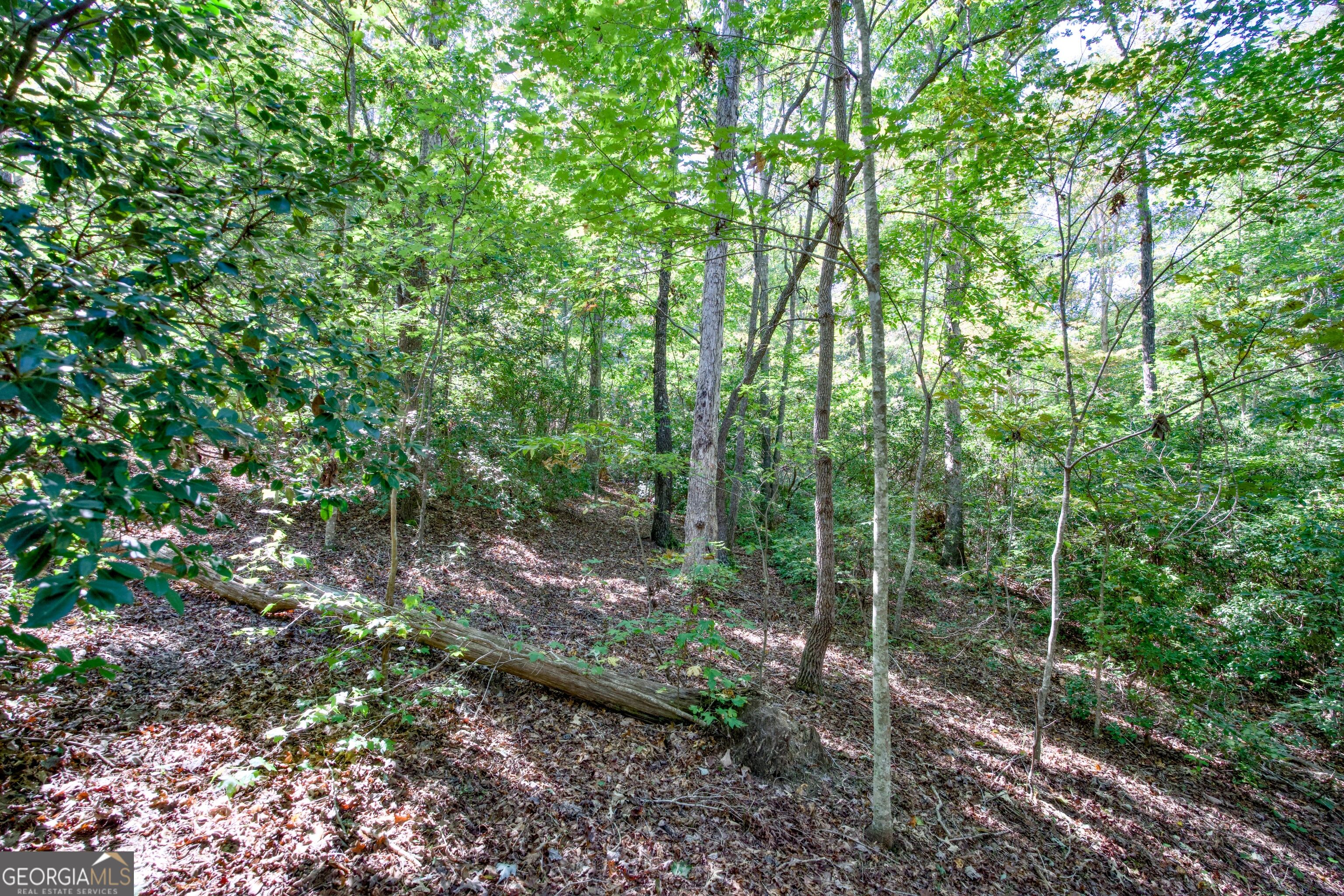 16 Ac Soapstone Road Baldwin GA 30511