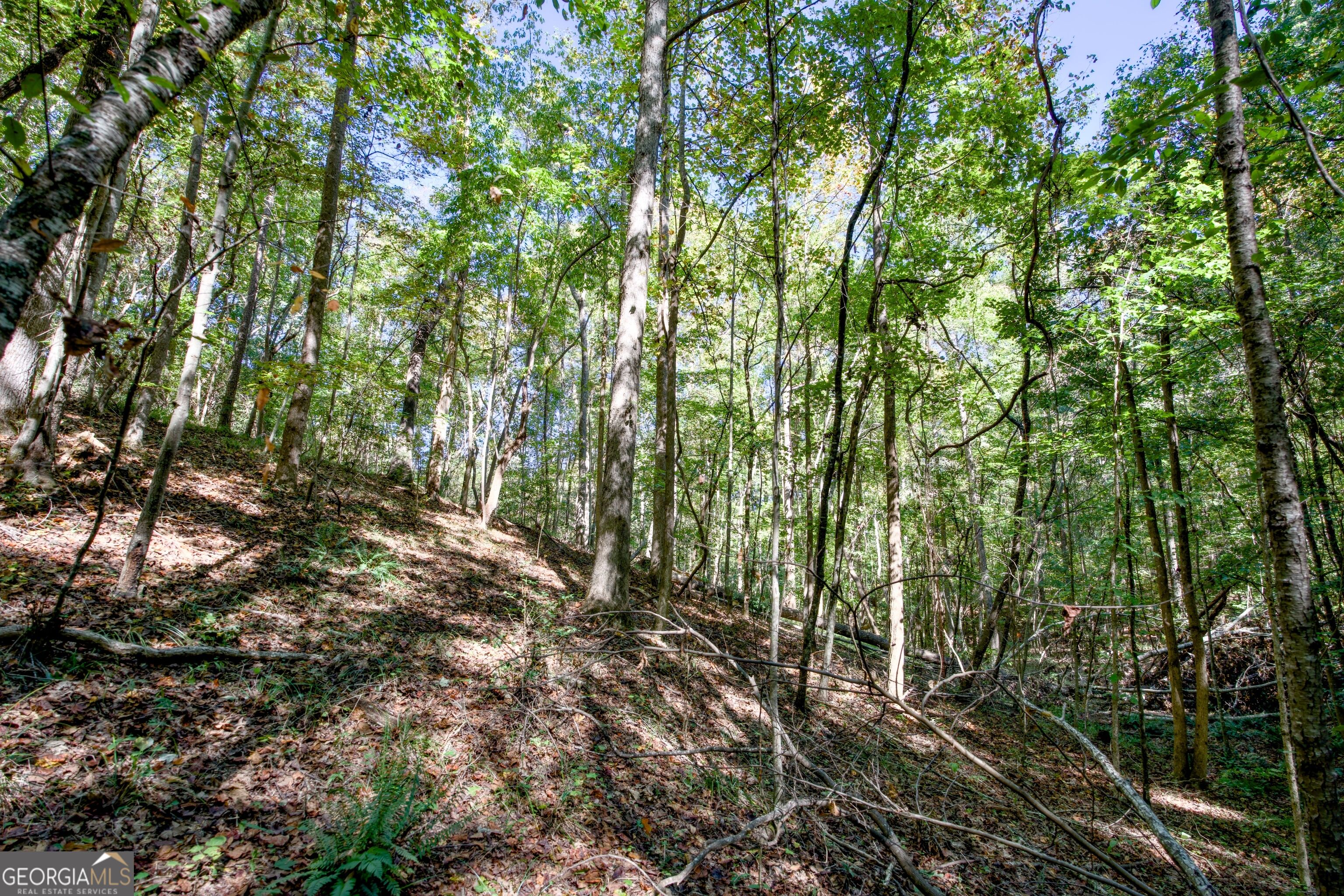 16 Ac Soapstone Road Baldwin GA 30511