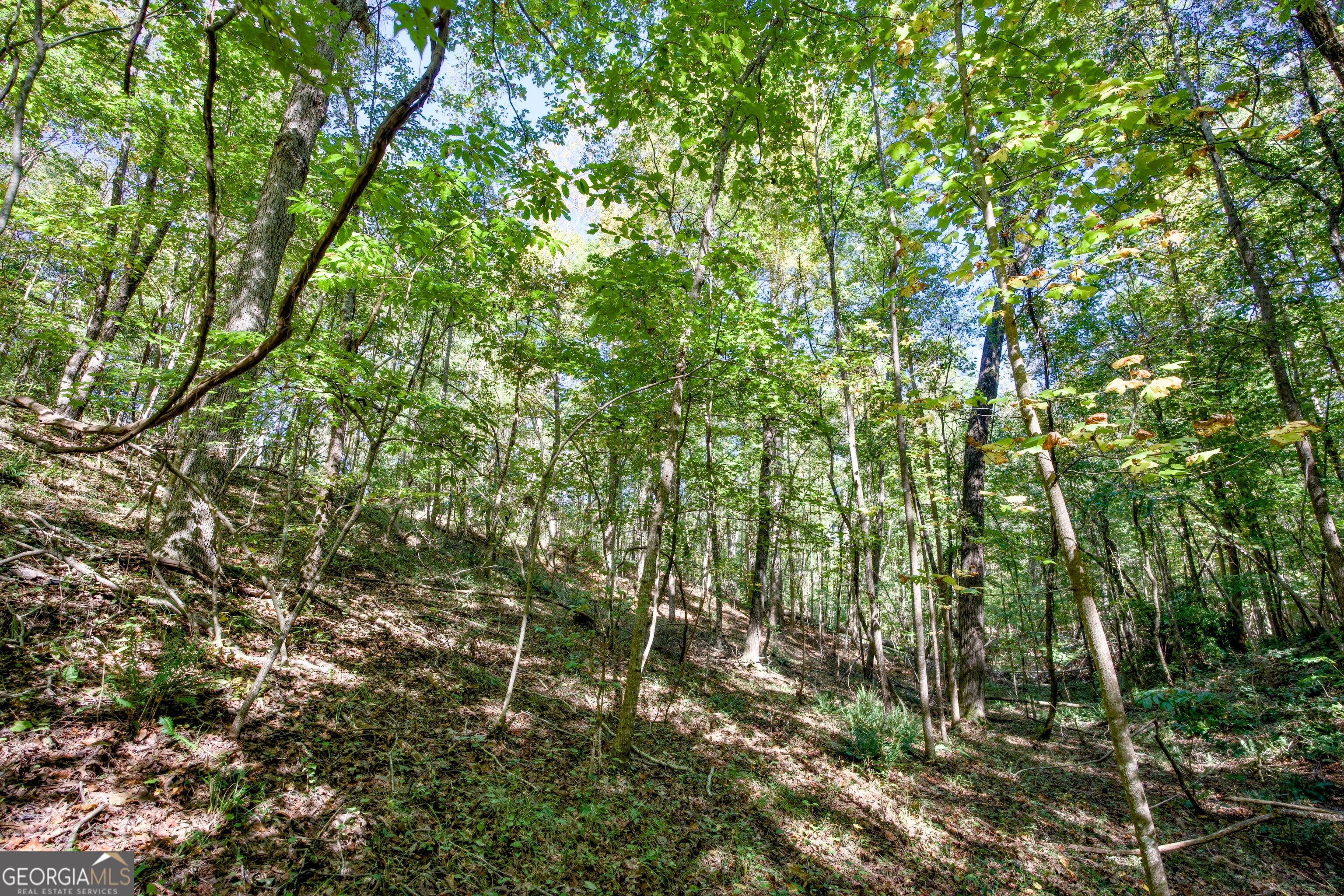 16 Ac Soapstone Road Baldwin GA 30511