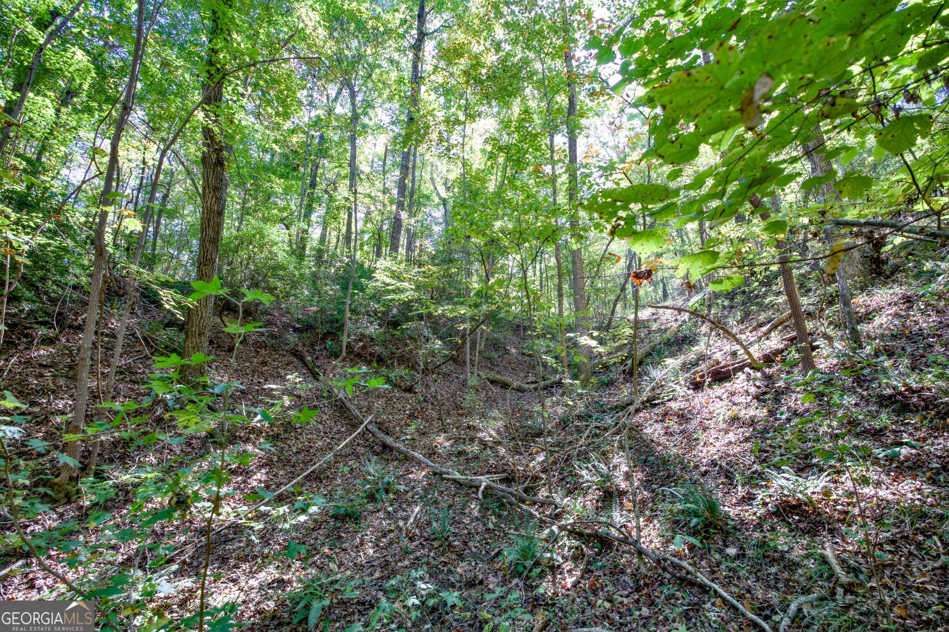 16 Ac Soapstone Road Baldwin GA 30511