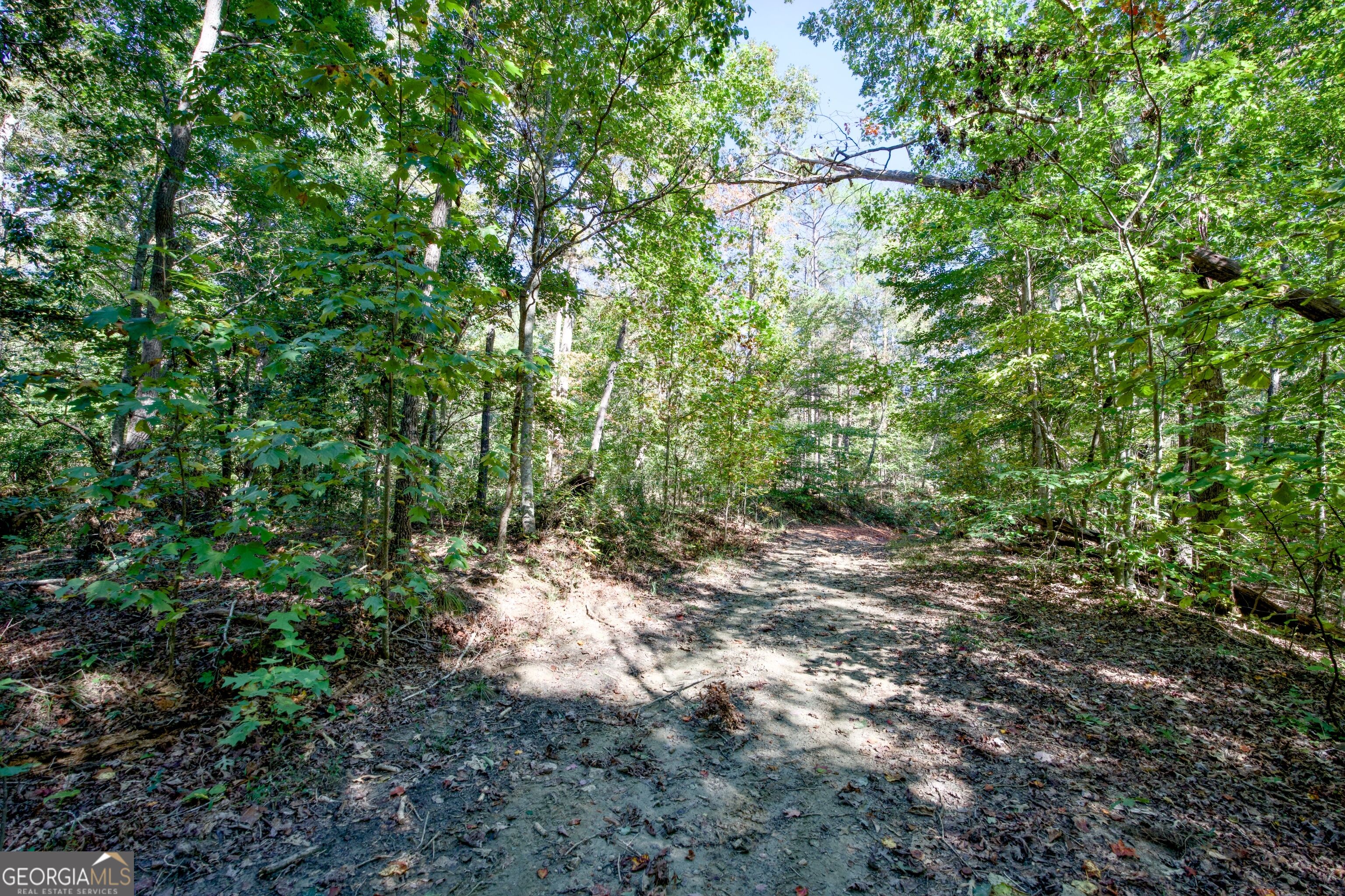 16 Ac Soapstone Road Baldwin GA 30511