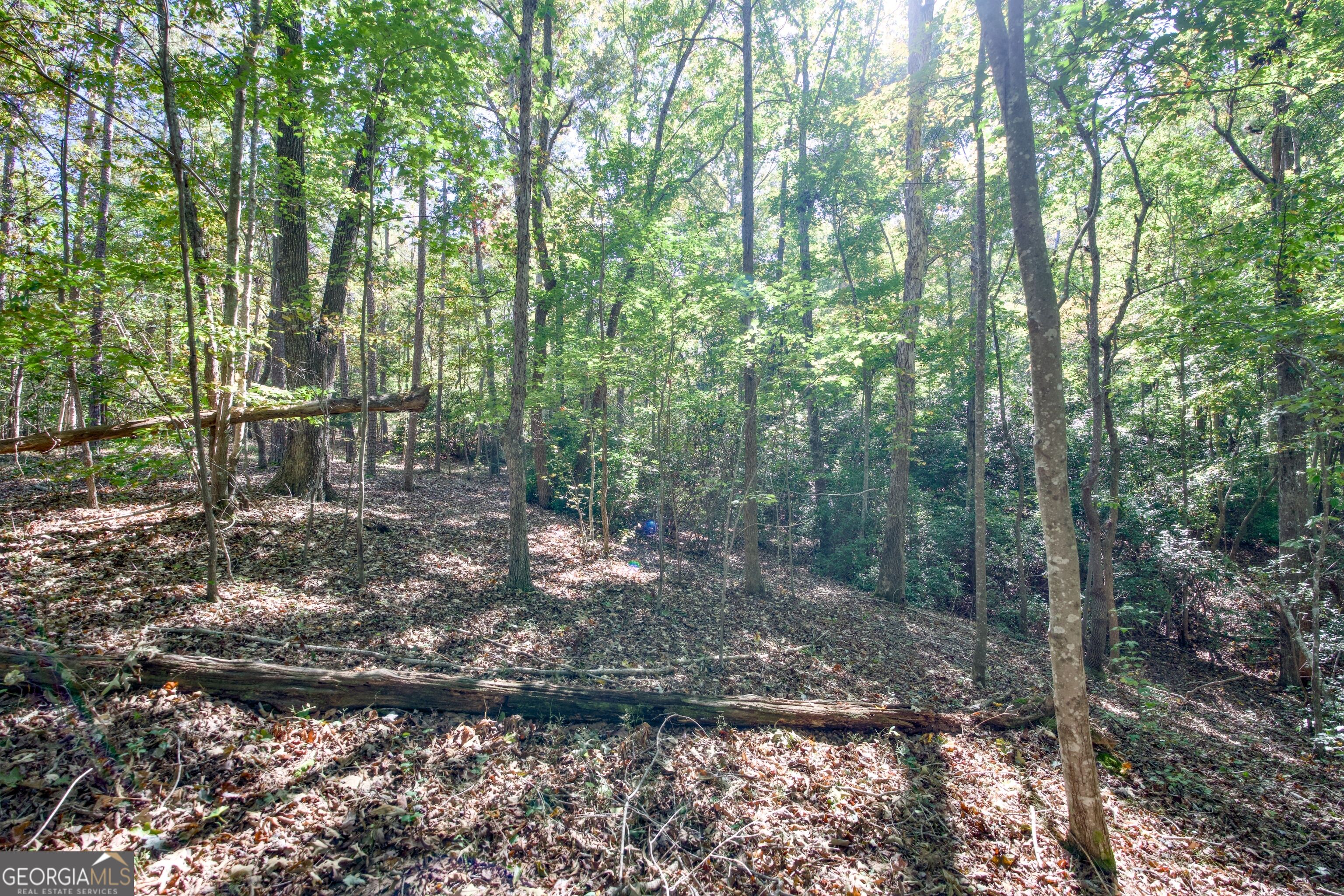 16 Ac Soapstone Road Baldwin GA 30511