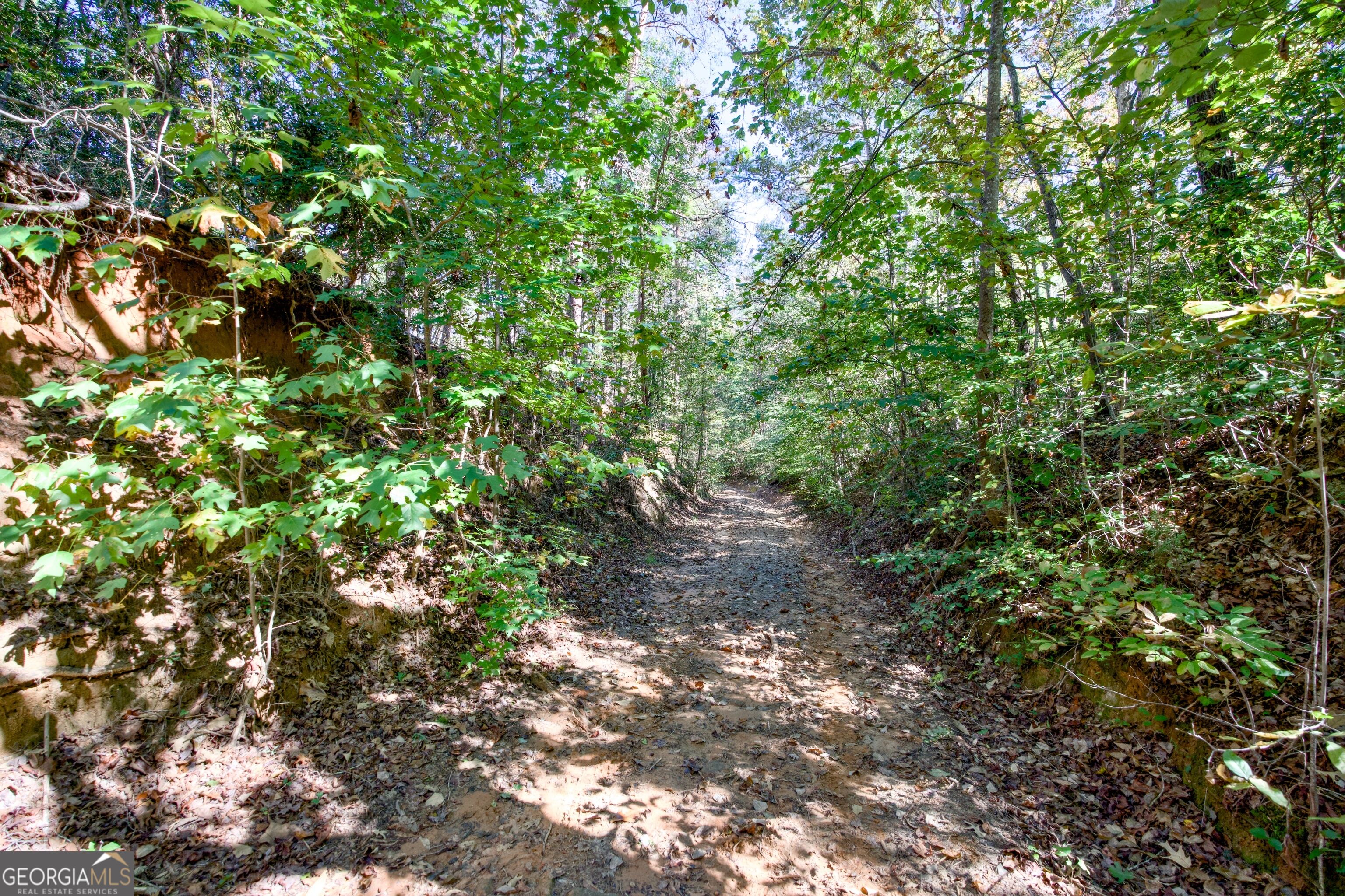 16 Ac Soapstone Road Baldwin GA 30511