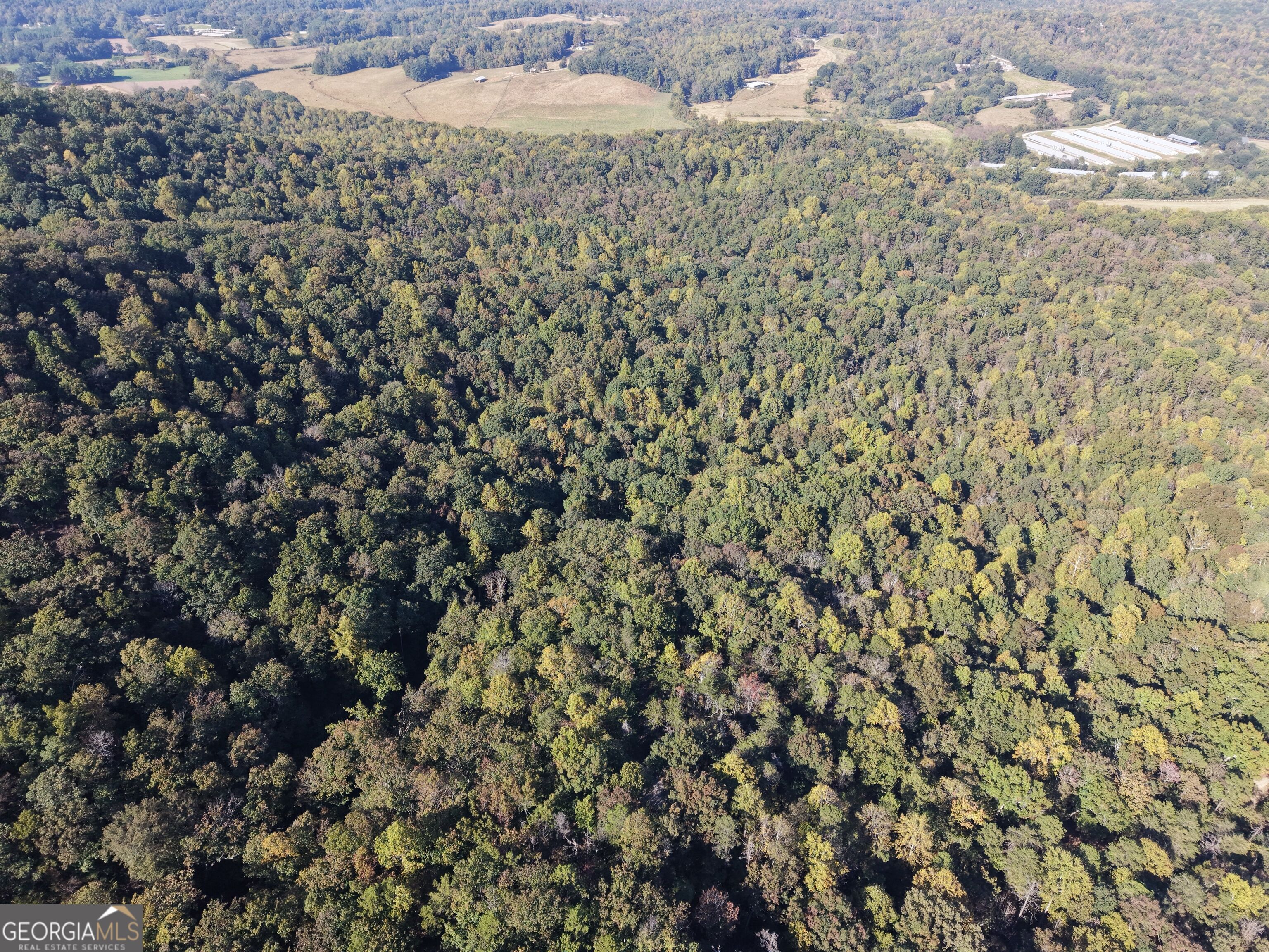 16 Ac Soapstone Road Baldwin GA 30511