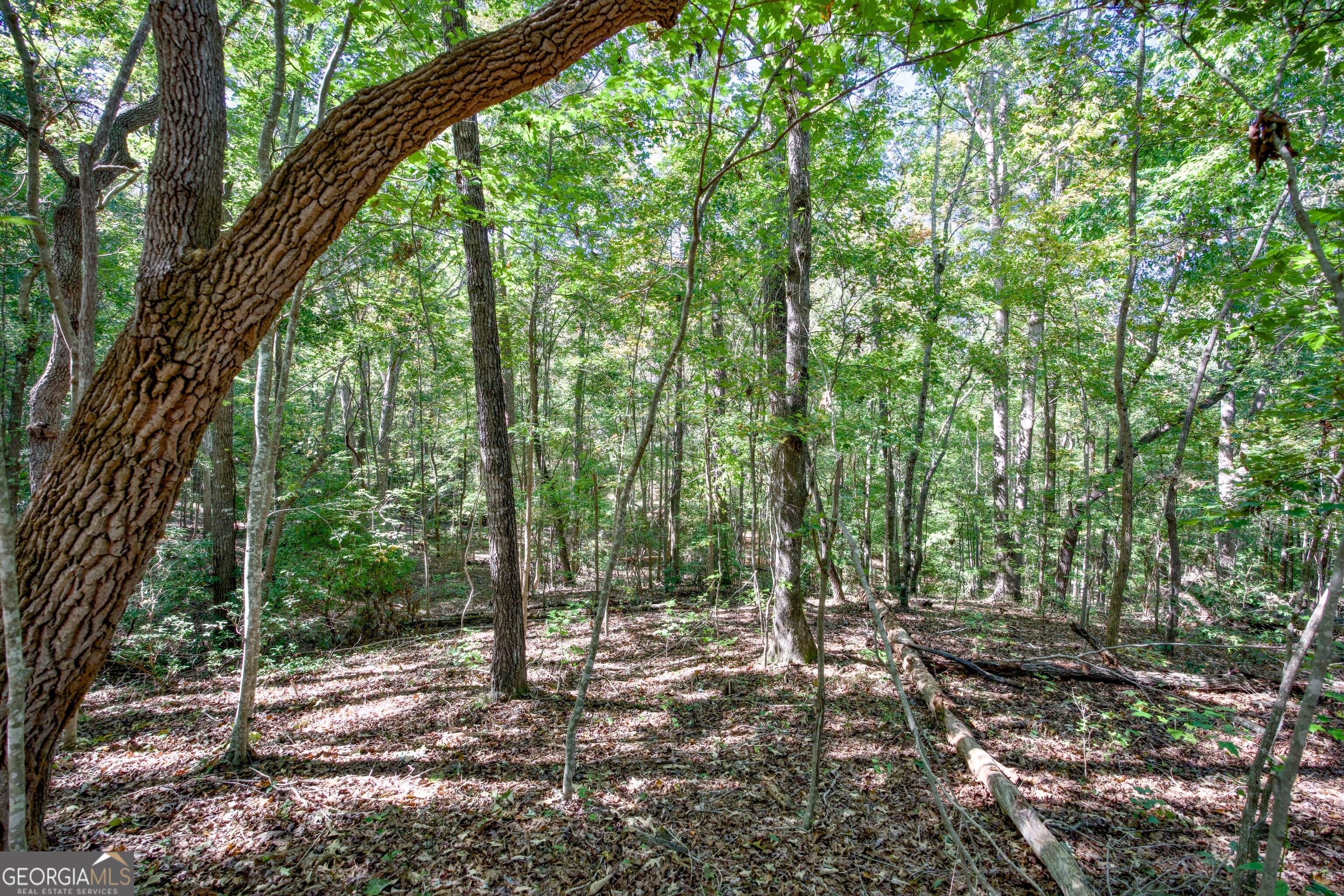 16 Ac Soapstone Road Baldwin GA 30511