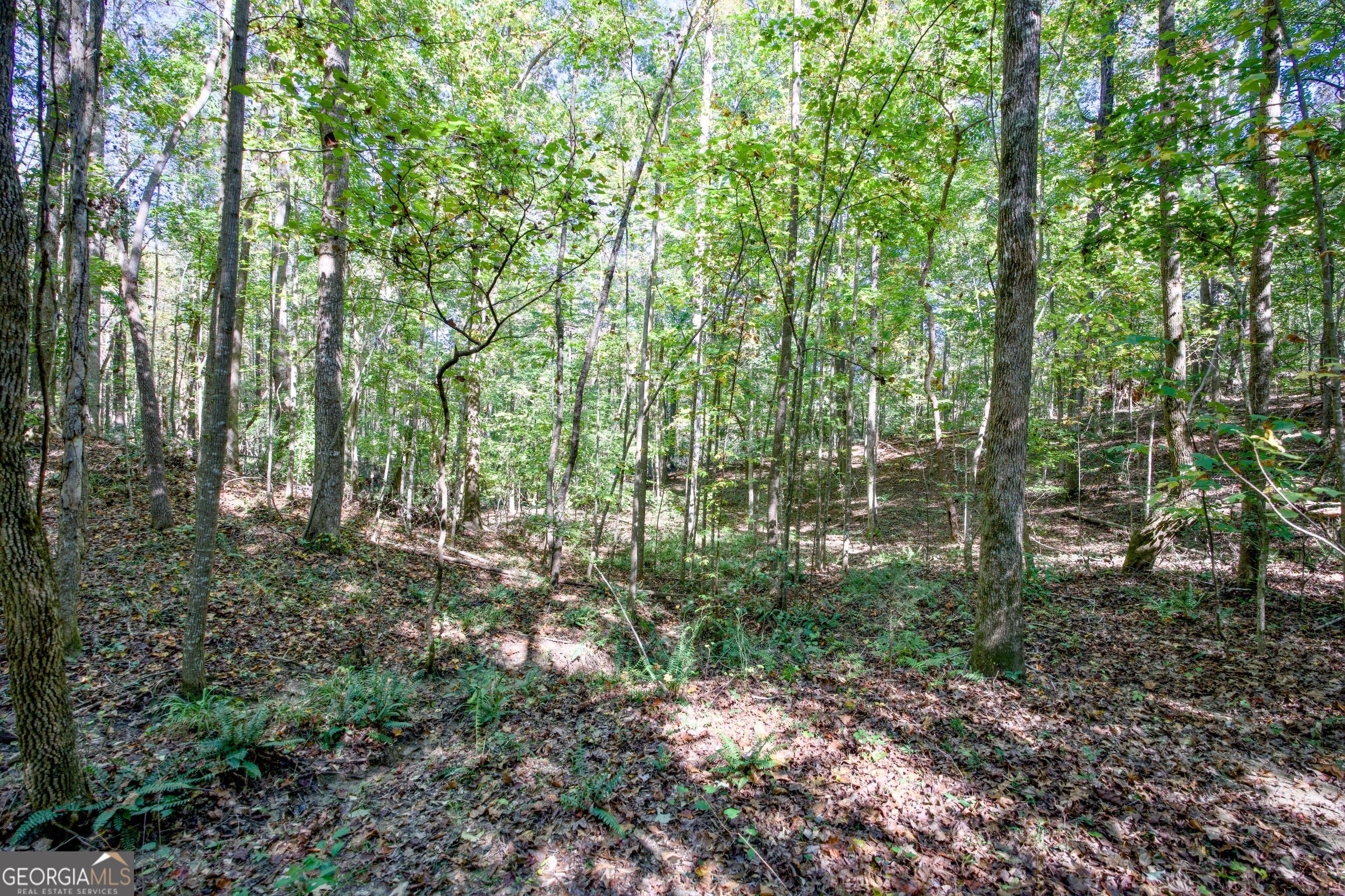 16 Ac Soapstone Road Baldwin GA 30511