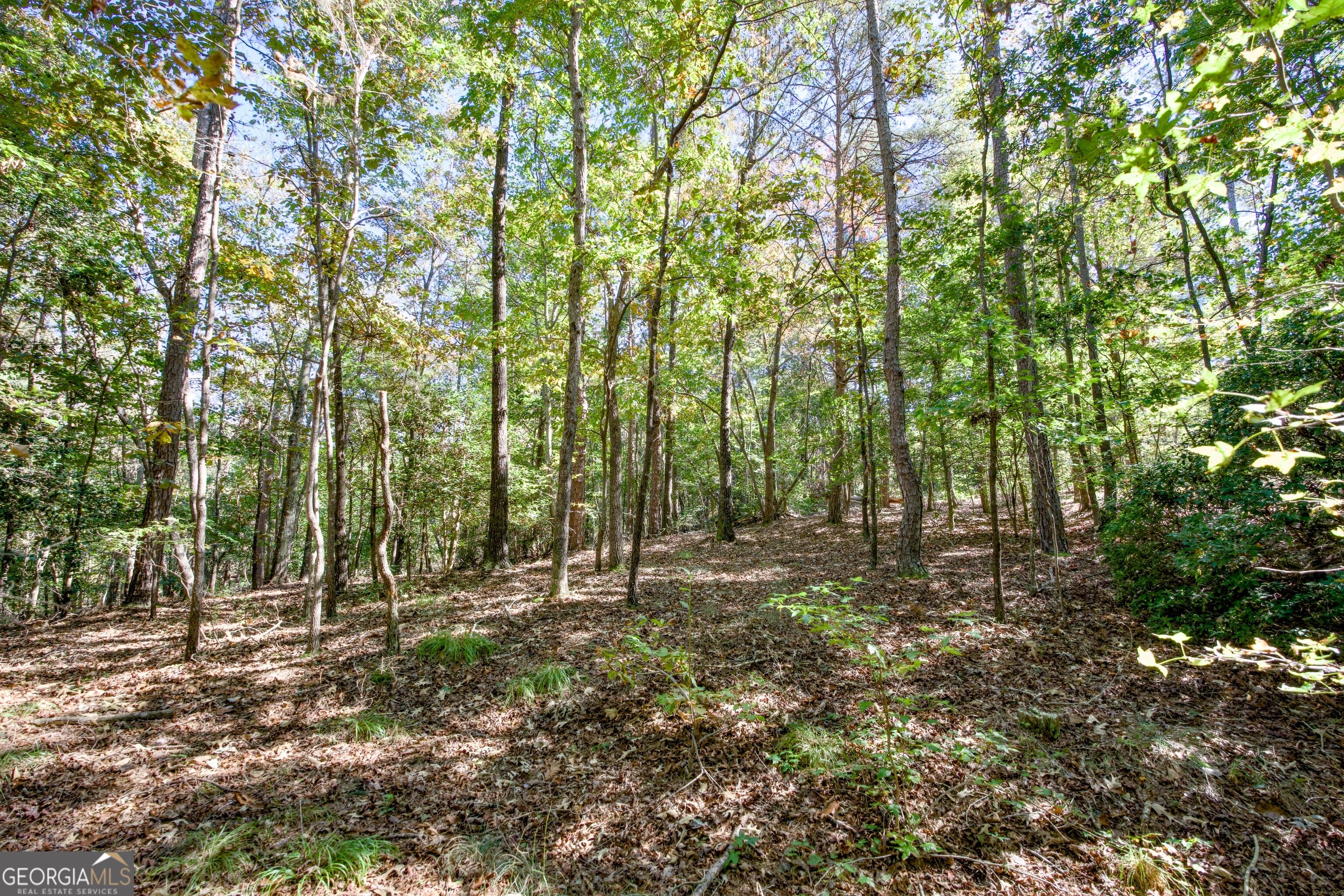 16 Ac Soapstone Road Baldwin GA 30511